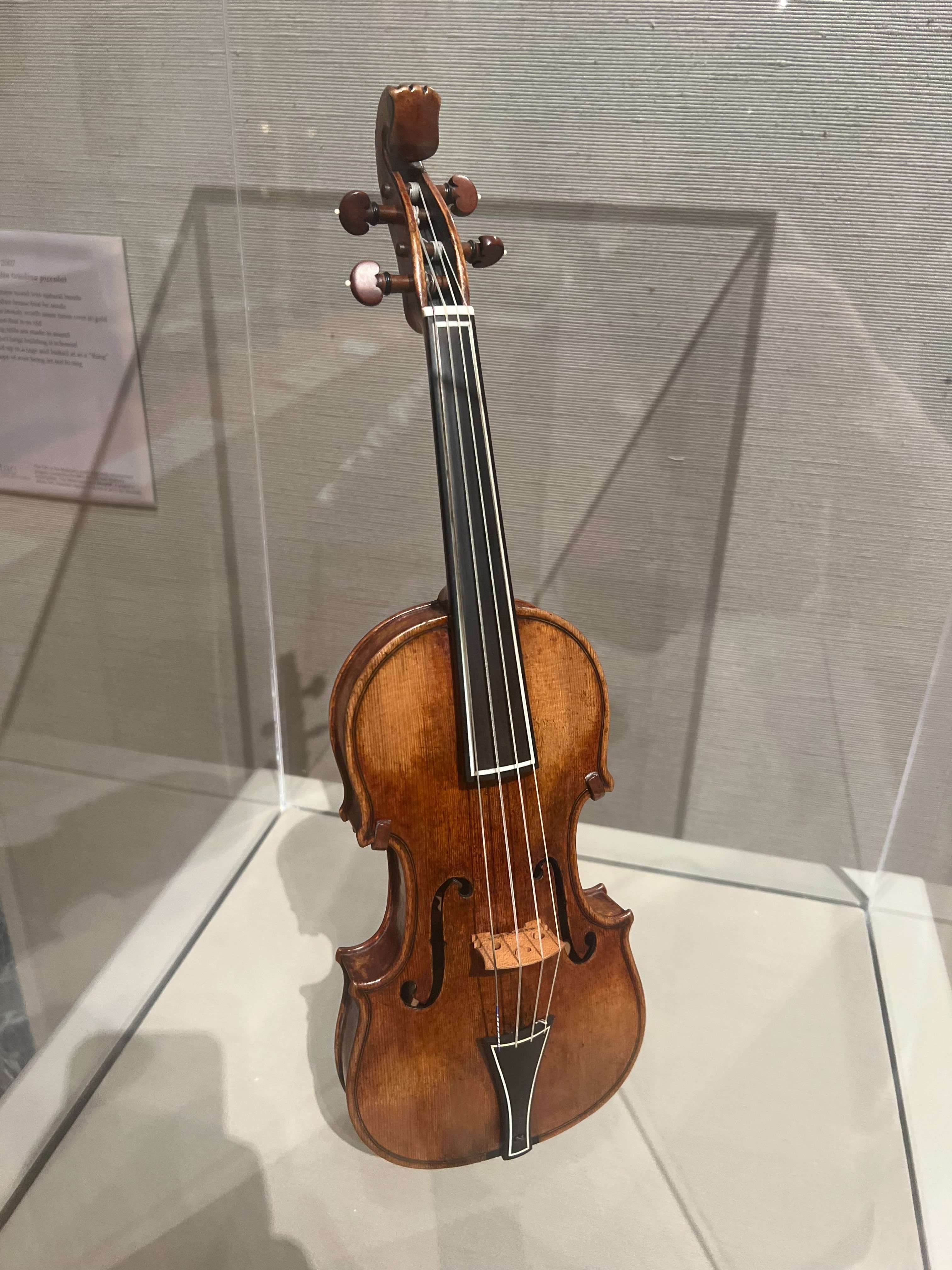 【古楽器】 ヴィオリーノ・ピッコロ（ピッコロ・バイオリン） 3/4サイズ 2025/10/19(日)今日のバッハのカンタータ🎻トリニタティスXVIII