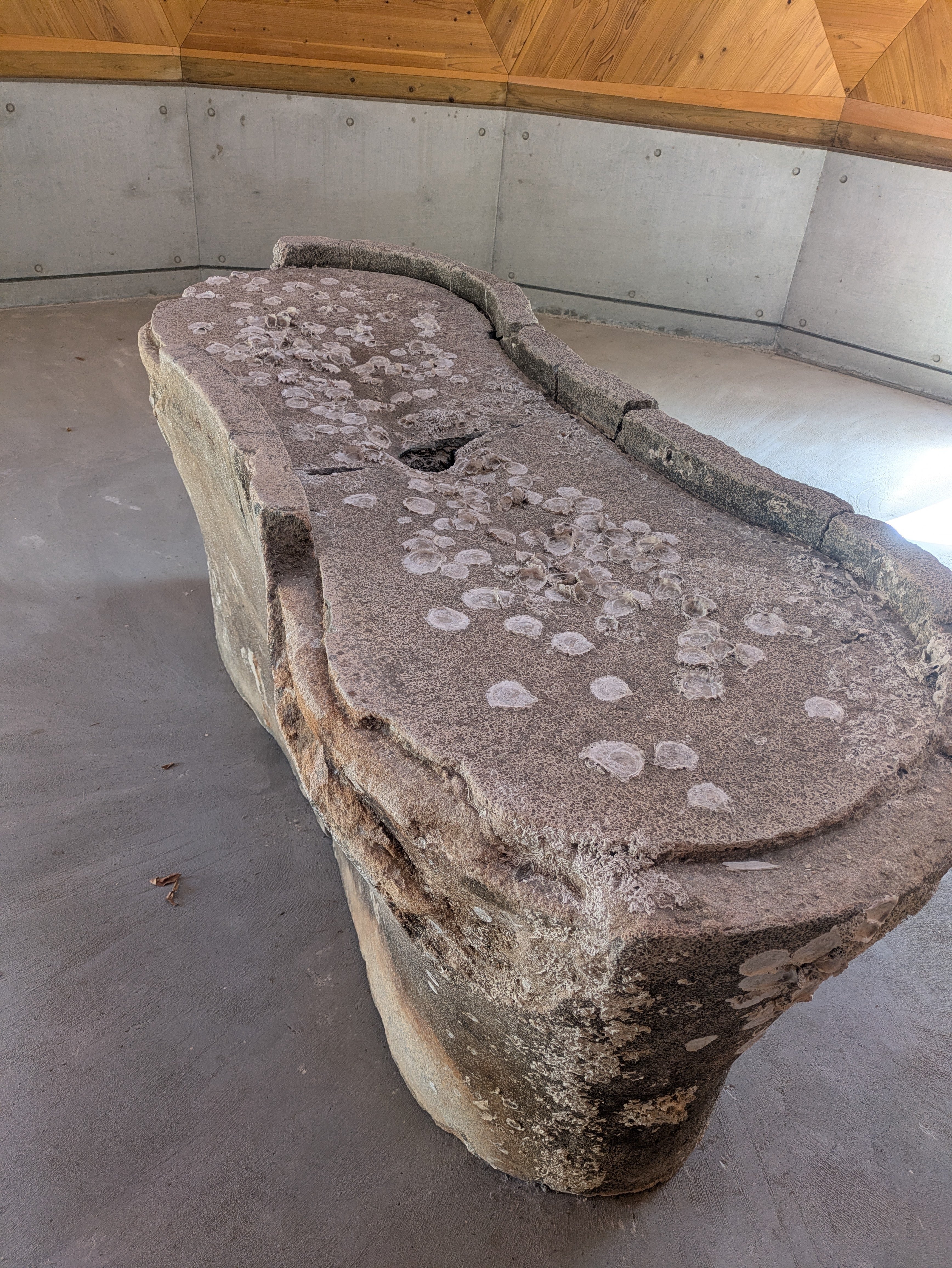 2025.10 瀬戸内芸術祭大島訪問｜ゆき