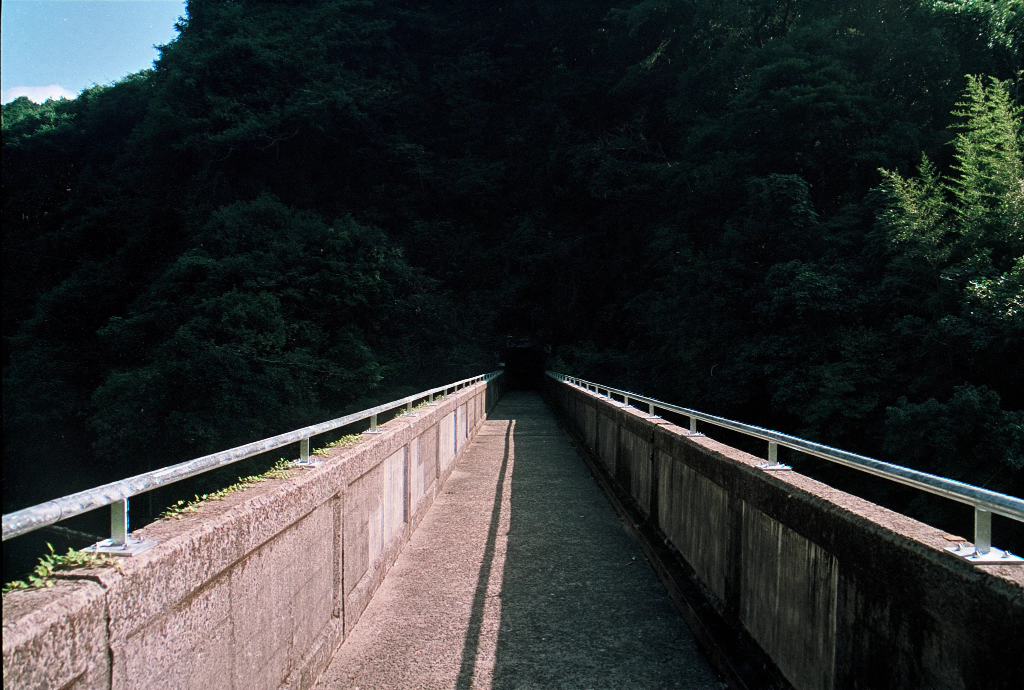 PENTAX MZ-5レビュー｜怪力熊男
