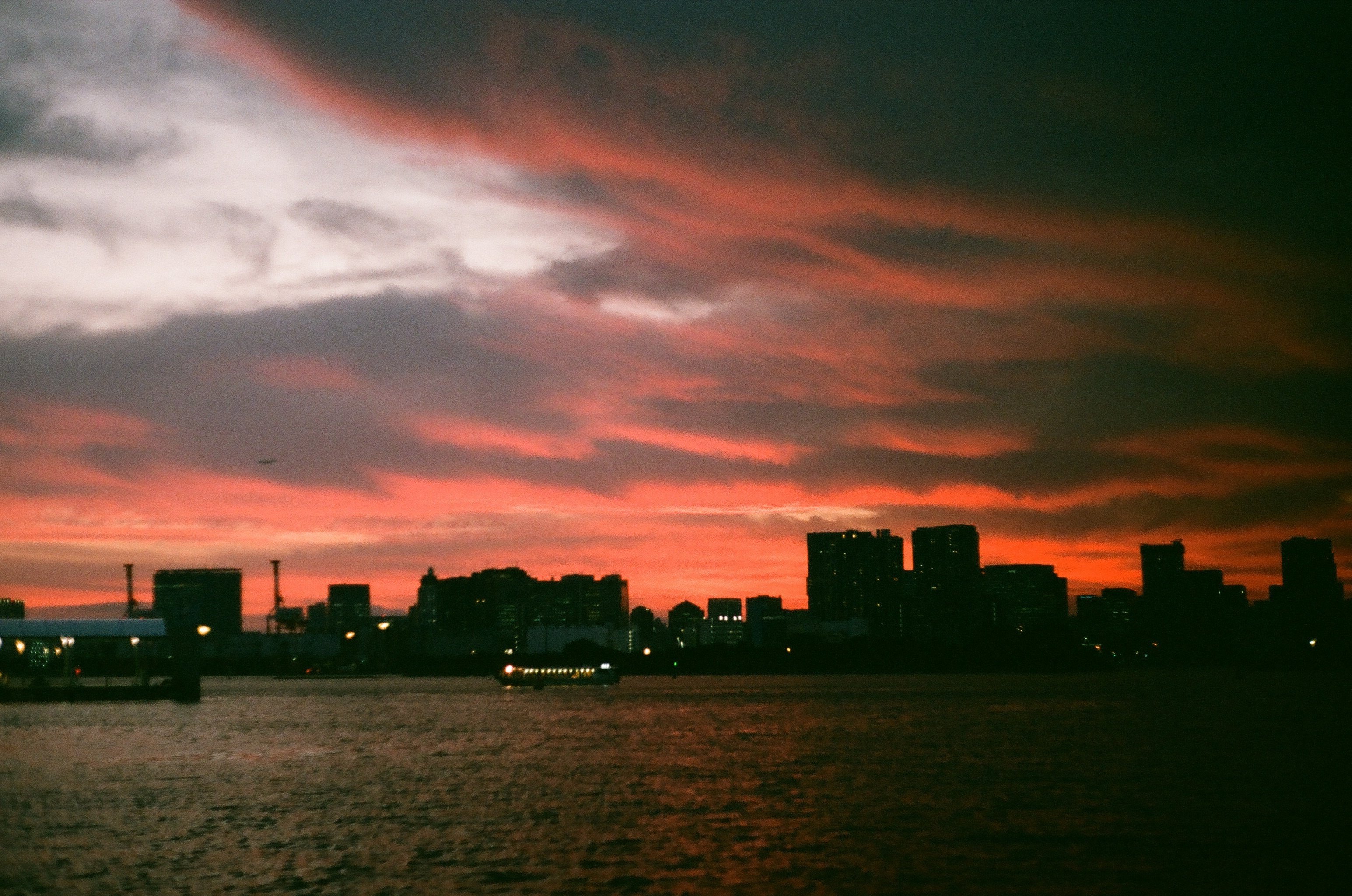 お台場で見ていた海｜八朔