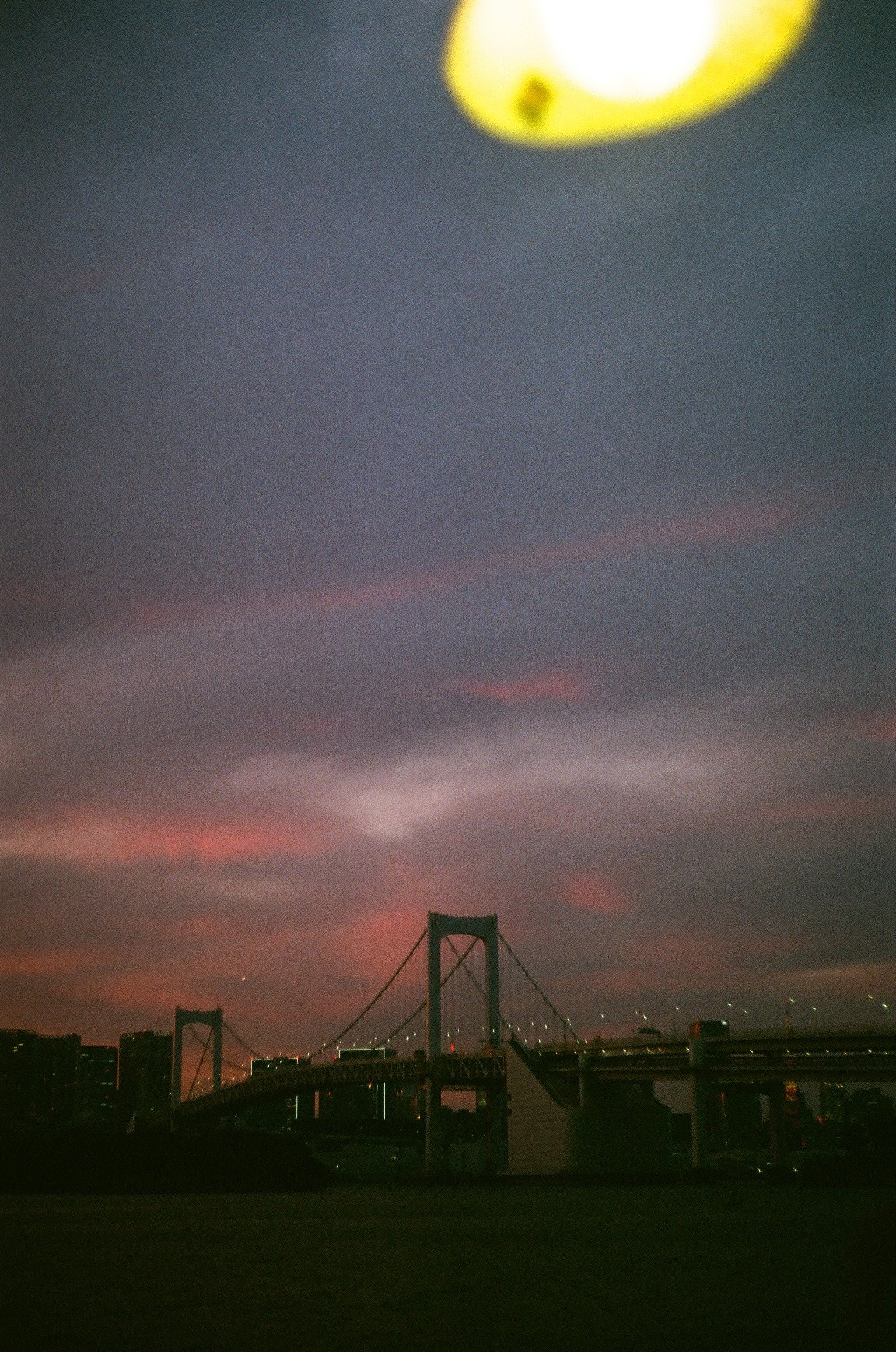 お台場で見ていた海｜八朔