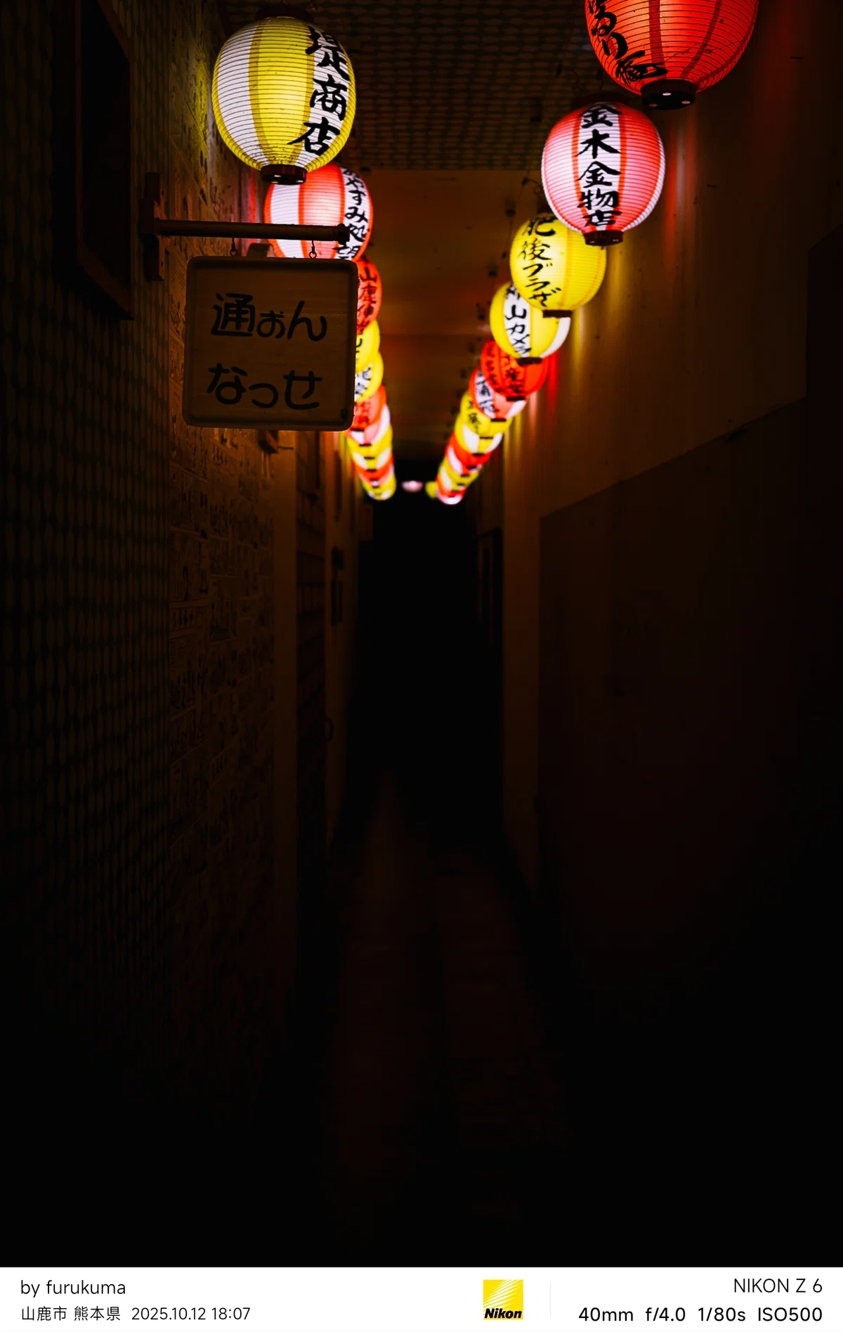 山鹿市お写ん歩 2025年10月 #7 | Nikon Z6|furukuma