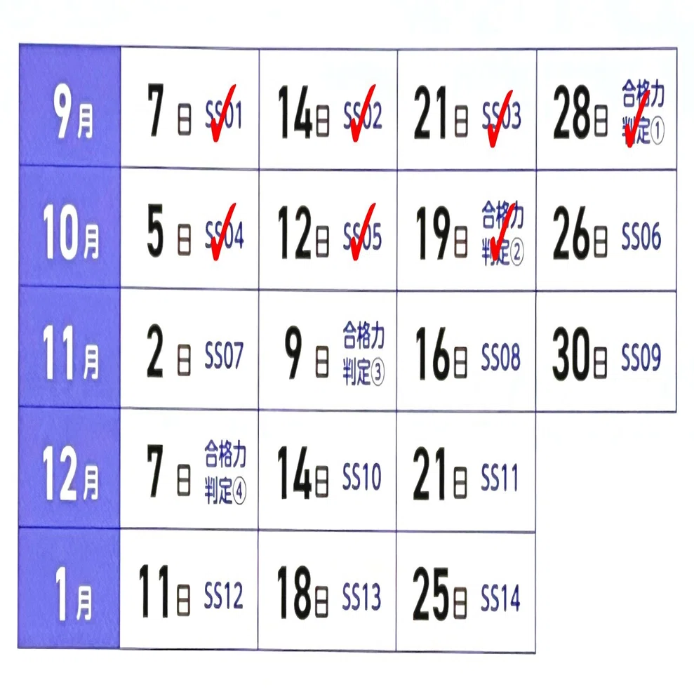 中学受験】第2回合格力判定サピックスオープン受験！より強くなるため 