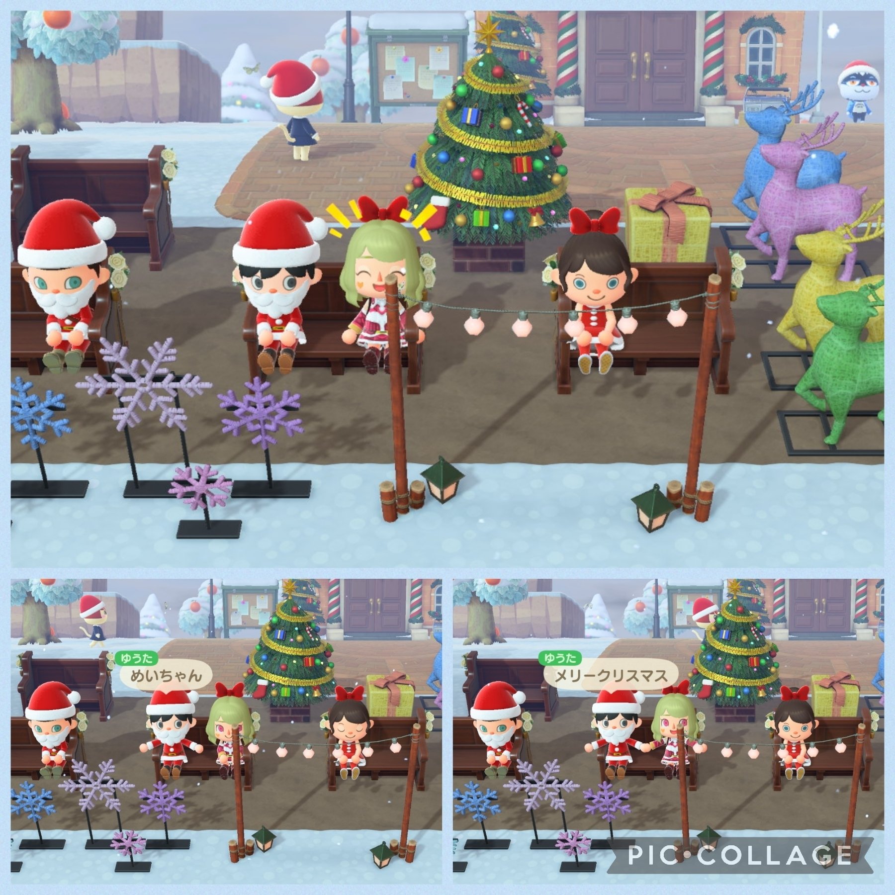 ☘️ スペシャルイベント☘️ラスト2☘️371 ❤️超希少【カメレオン】クリスマスローズ 2022/12/25(D927-02) クリスマスイベント2022⑥(時変有り)｜リエナ