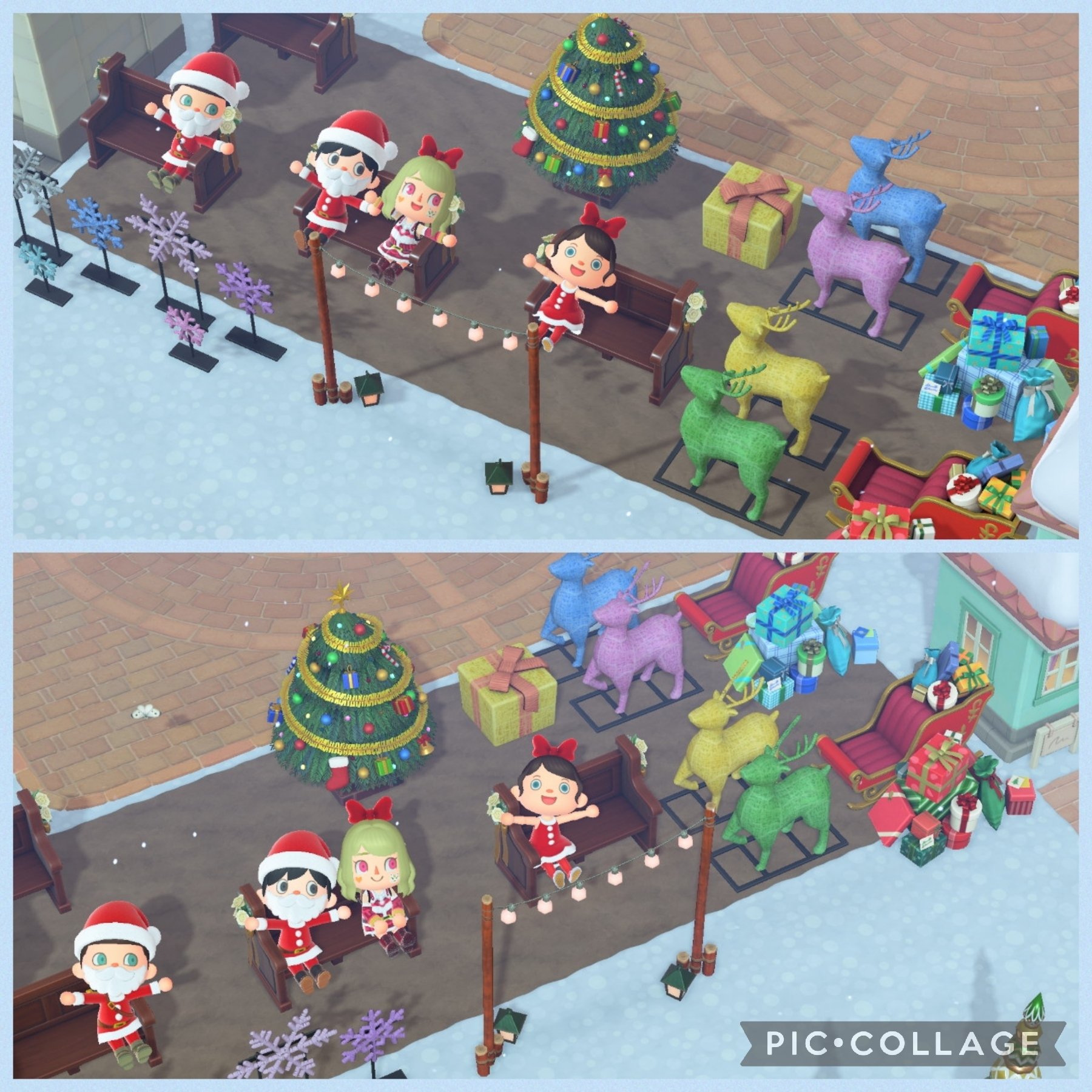 ☘️ スペシャルイベント☘️ラスト2☘️371 ❤️超希少【カメレオン】クリスマスローズ Reel by 平坂 晃 (@akira_hirasaka) · December 13, 2024