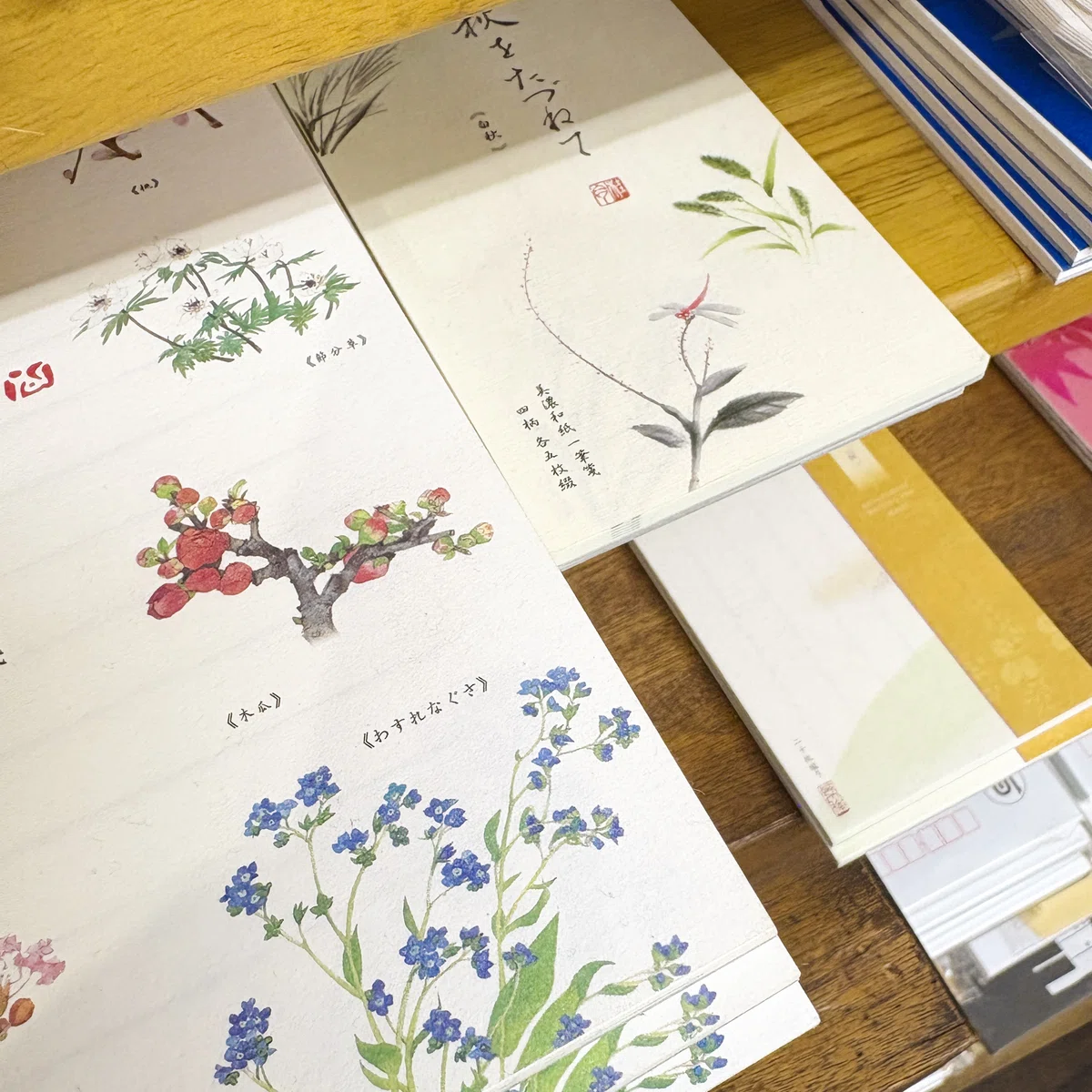 お取扱店のご紹介🖋千葉県 文具 はつや様｜表現社 cozyca products