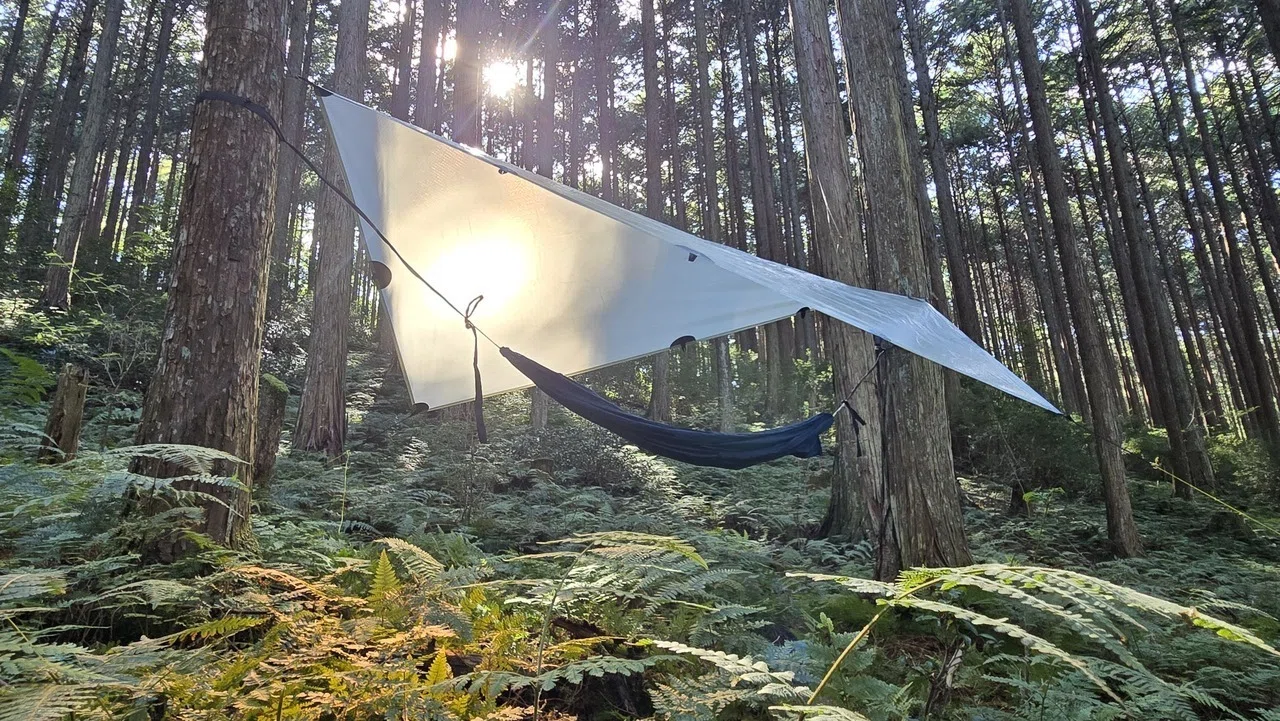 お散歩ハンモック#1 Tiny HammockとULTAR TNT Tarp｜ssaw あるく