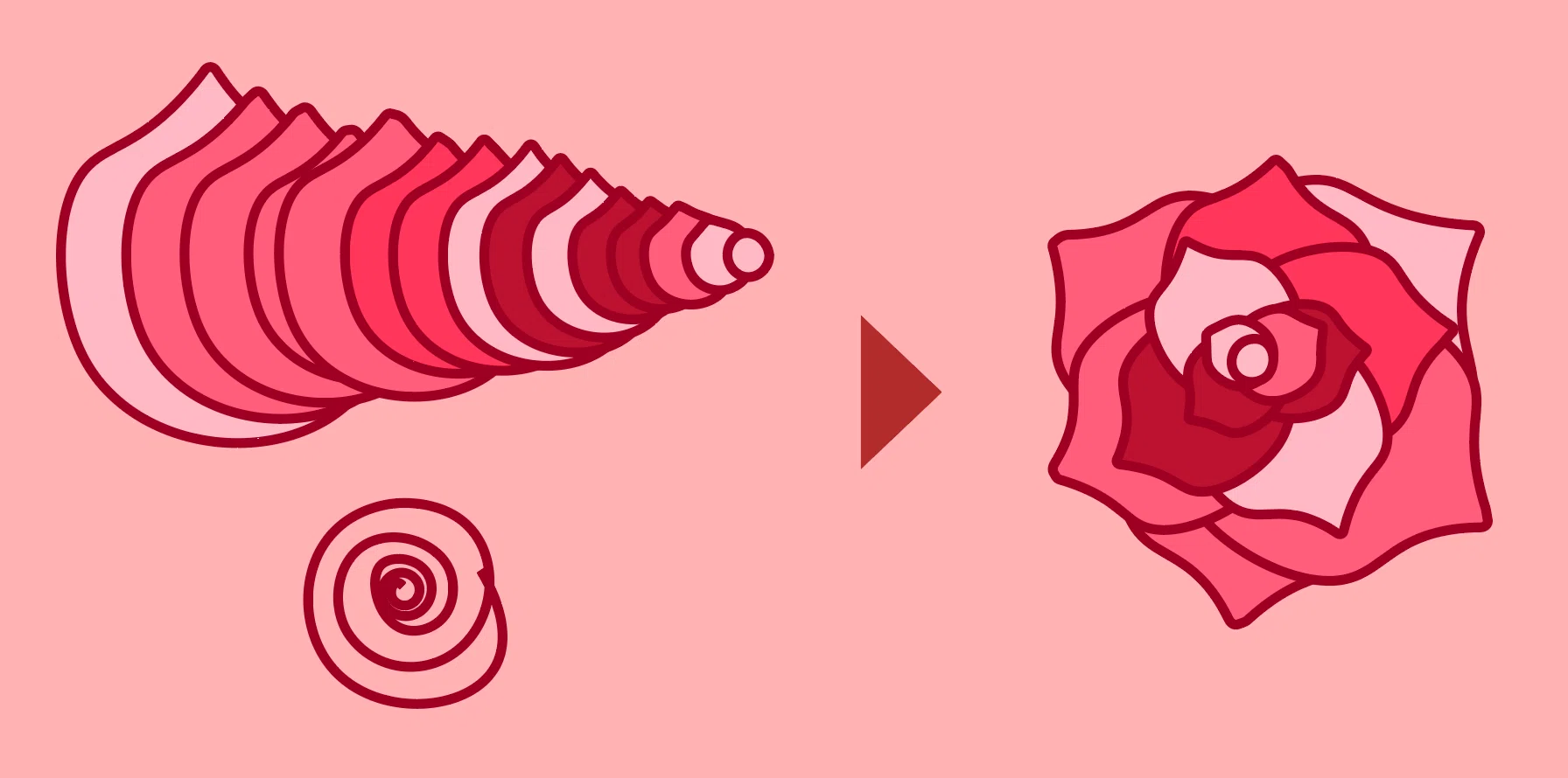 バラを量産するポイント｜Adobe Illustrator Tips｜イラレ職人 コロ