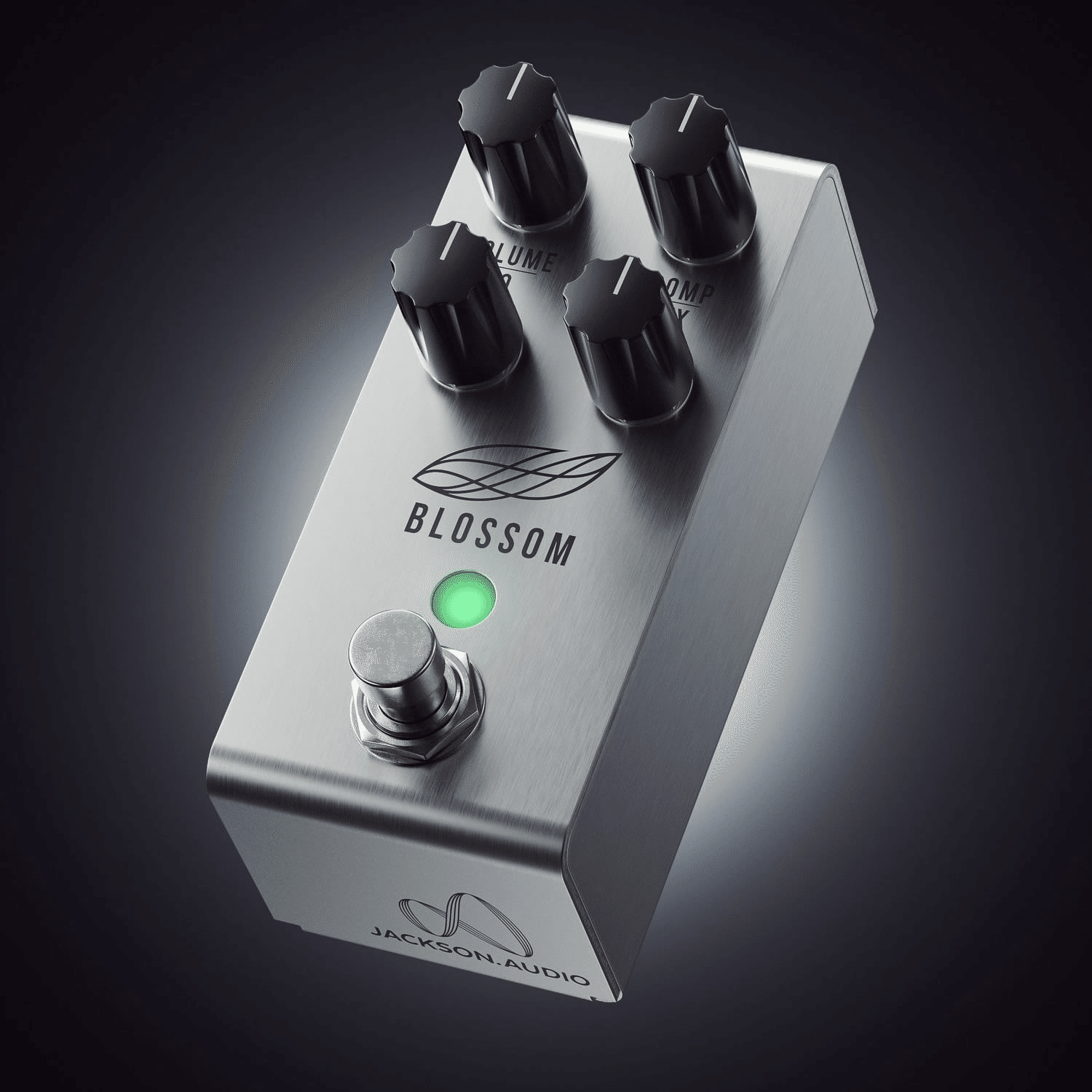 ジャクソン・オーディオによるシンプルで扱いやすいオプティカル