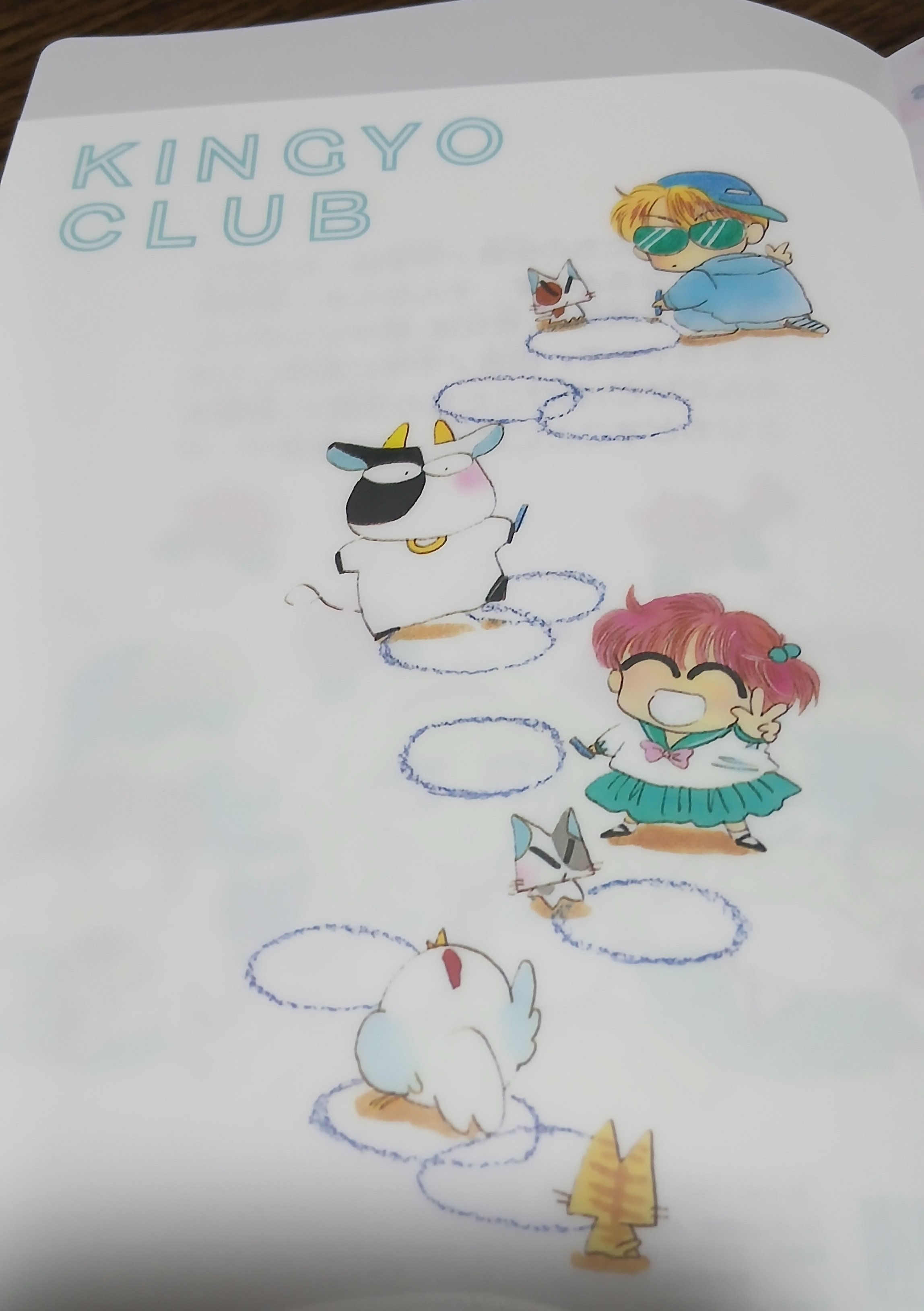 セリアのレトロ雑貨(きんぎょ注意報!)｜ネコ仮面