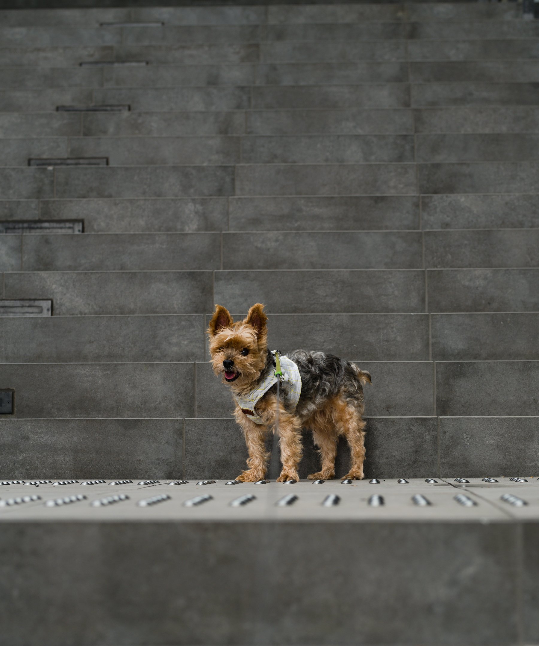 小さな秋にはラージフォーマットで（PENTAX 645D）｜かつくん