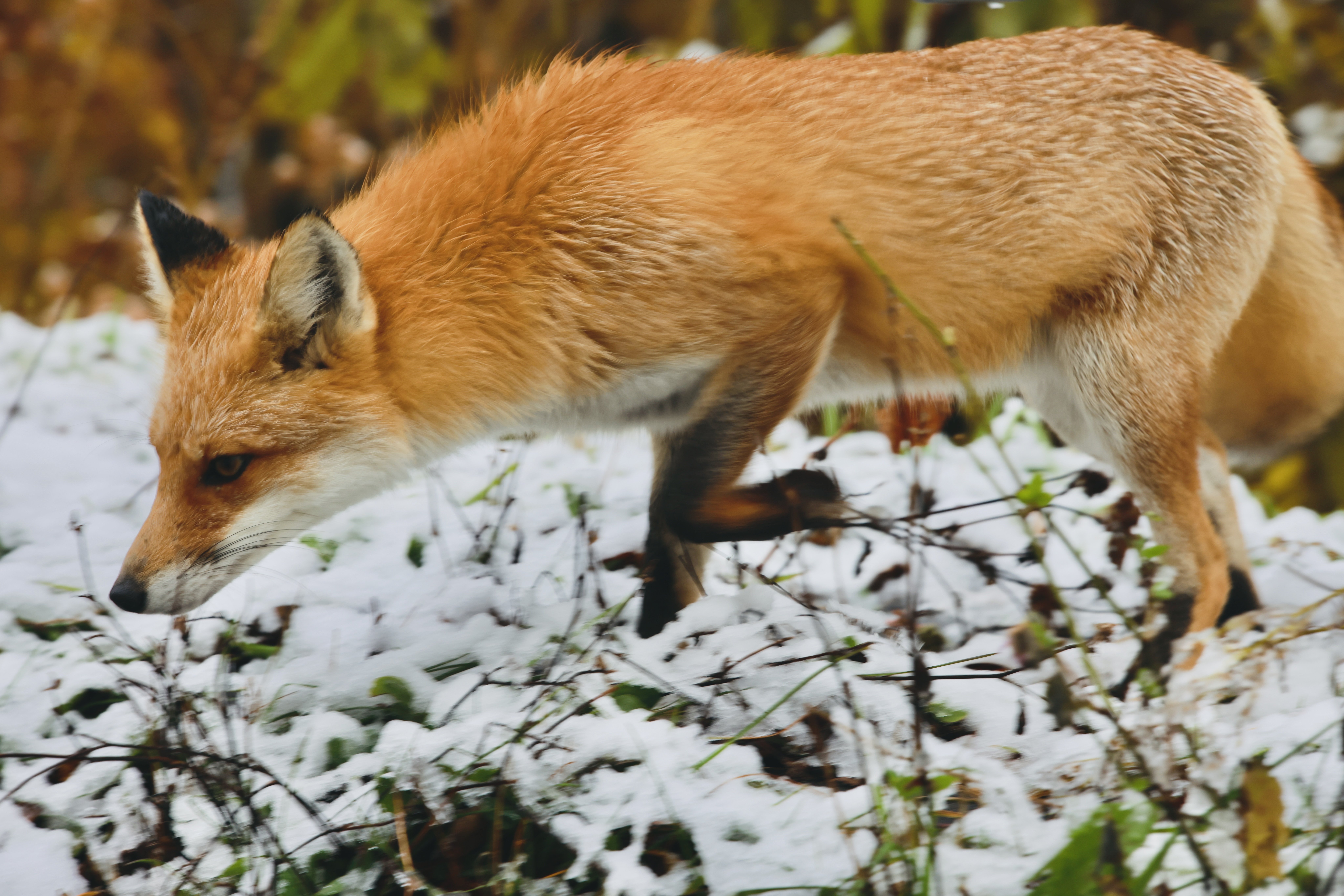 初秋の旅2025 Day 21｜田中稔彦