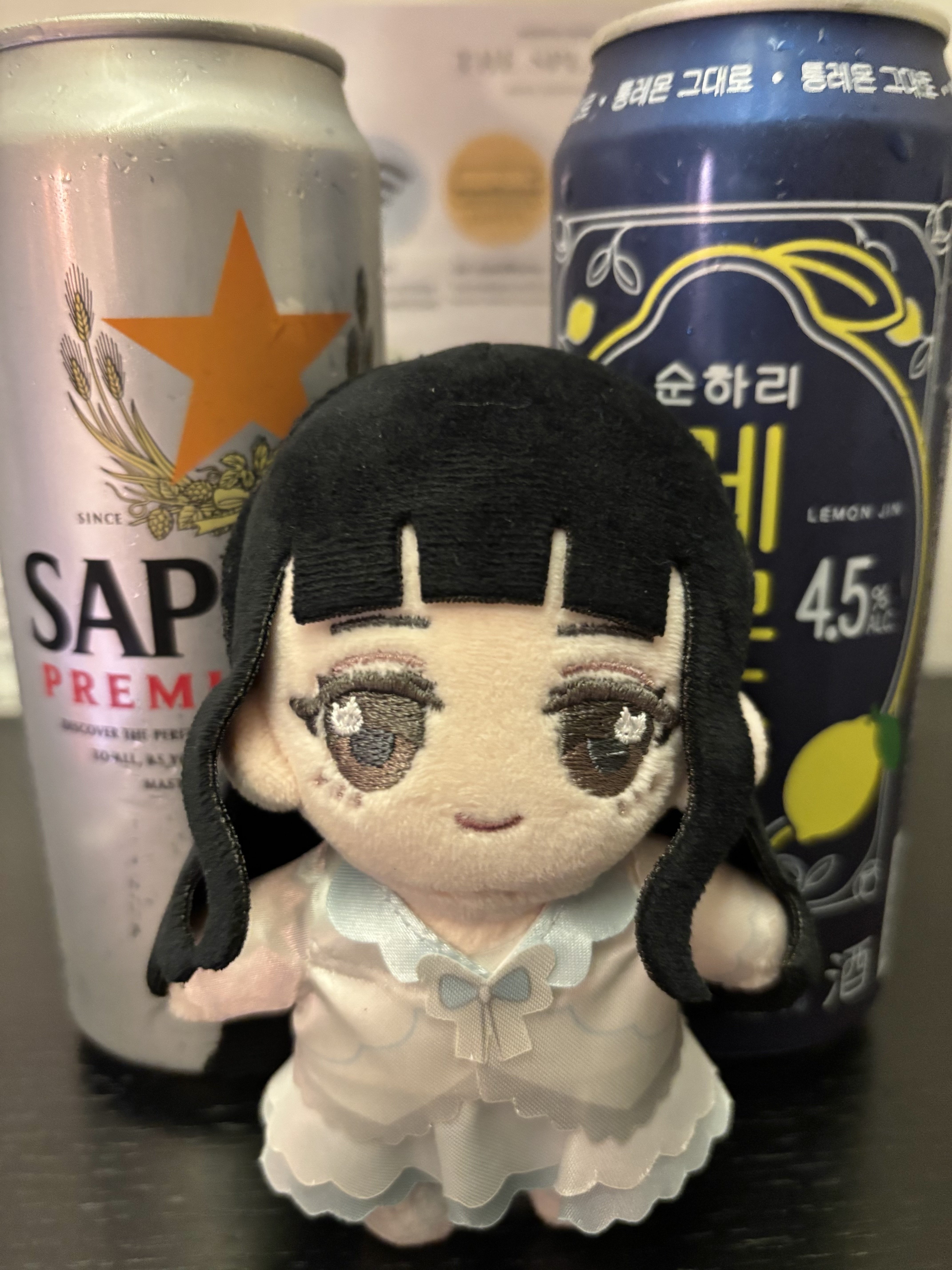 こなファンミ韓国公演に行ってきました｜あすまぺ