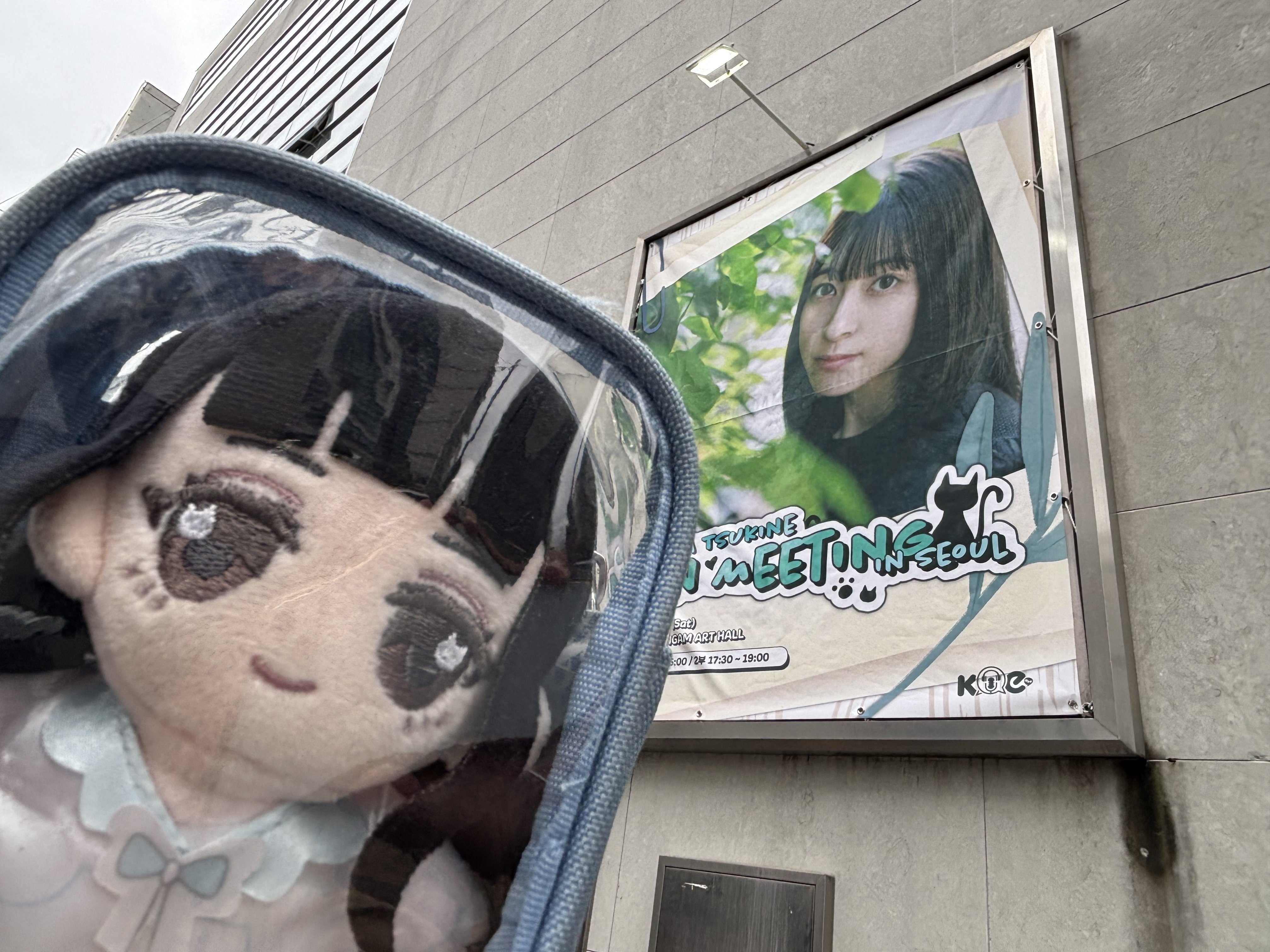 こなファンミ韓国公演に行ってきました｜あすまぺ