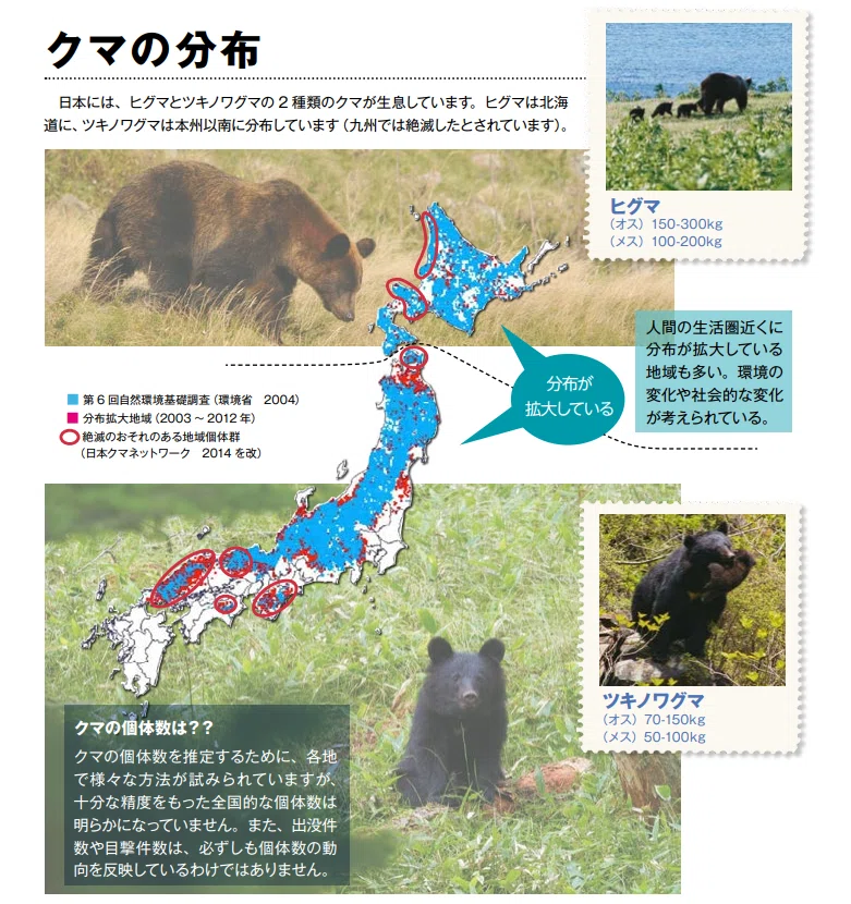 クマ被害情報にみる正確でリアルタイムな情報の重要性 〜GISでクマ対策