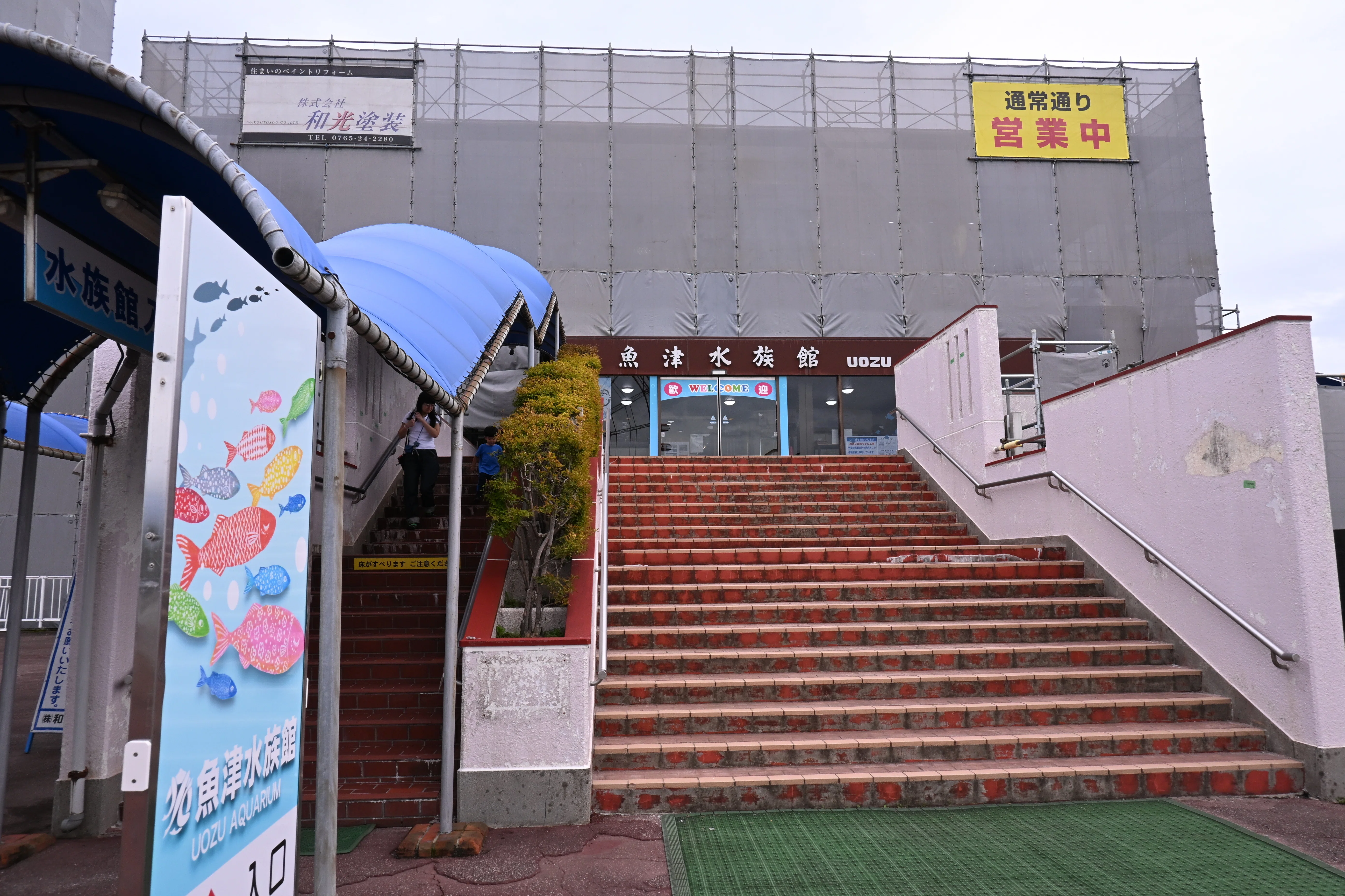 20251018_魚津水族館【Nikon Z50IIと水族館】｜山ネズミ