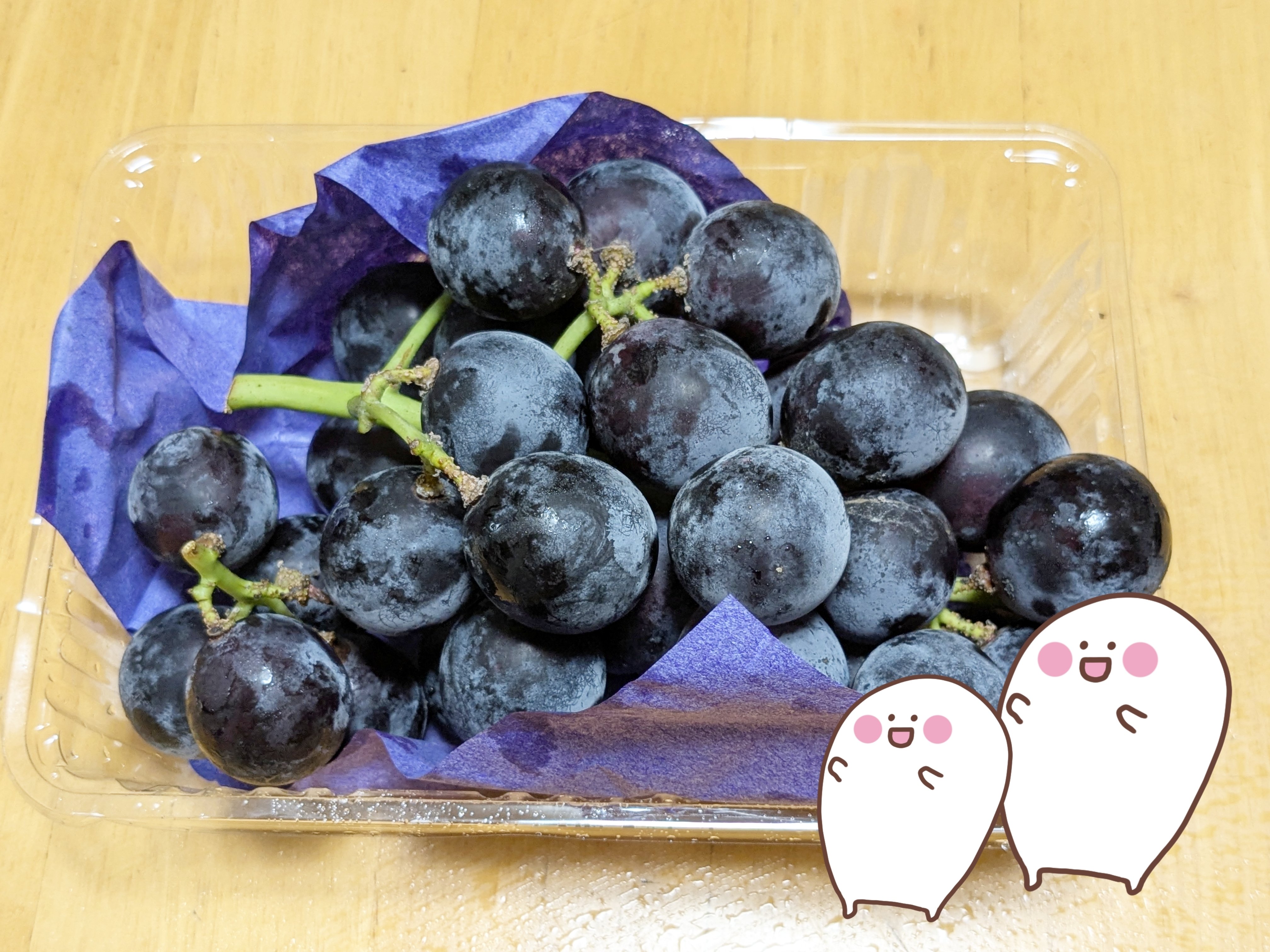 ぶどうの茎を切り取って保管すると長持ちすると聞いたので、1ヶ月間