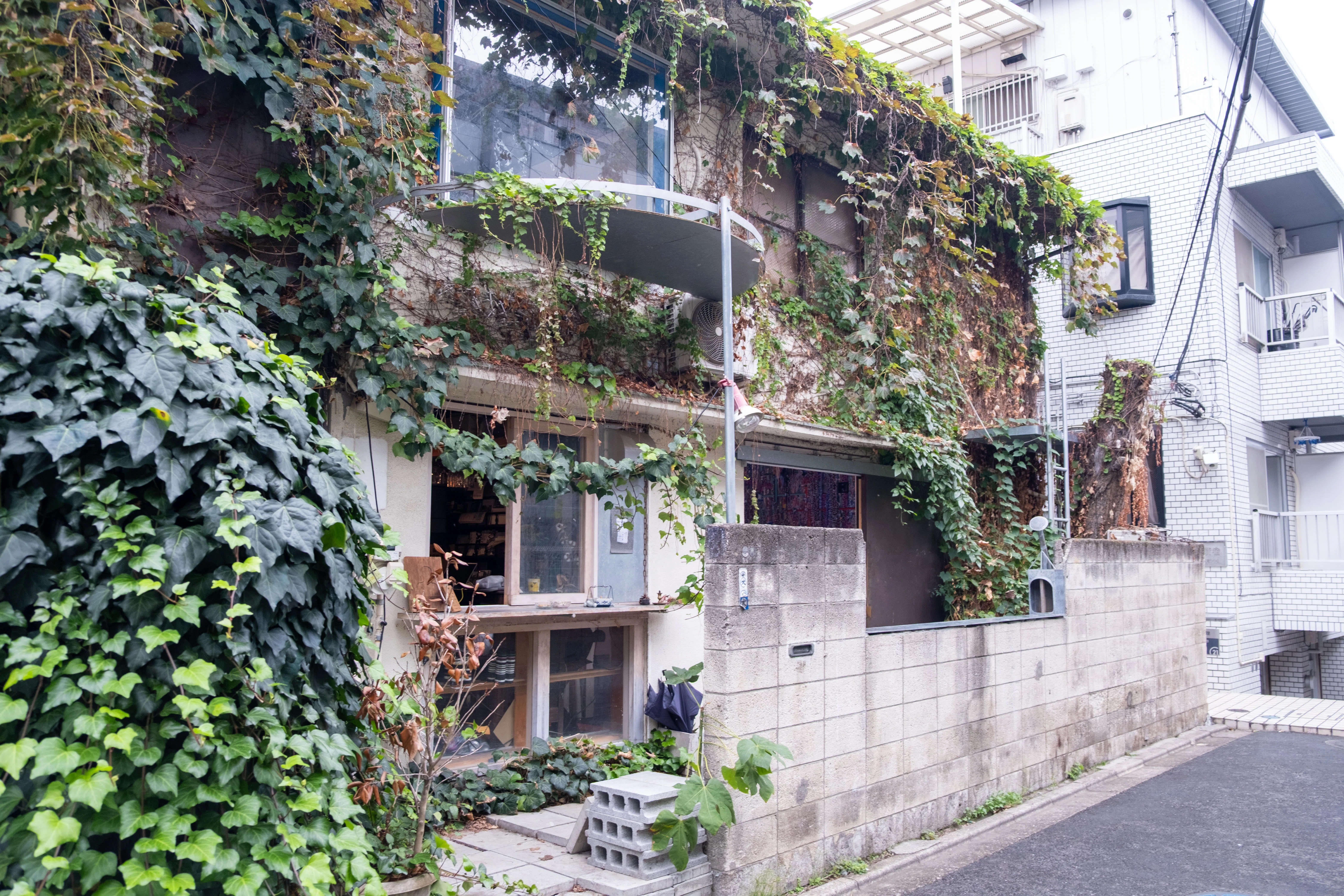 磯崎新のデビュー作で行われている「未来都市は荒屋敷」展に行ってきた