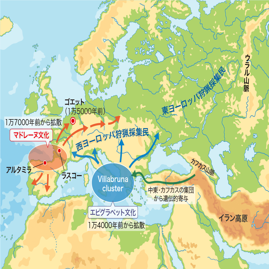 世界史探究】 サピエンス全世界拡散② 〜ヨーロッパ集団の興亡