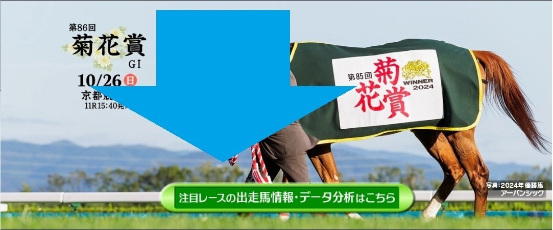 菊花賞サイン馬券2025｜菊花賞に直結する超激勝サインジョッキーがJRA