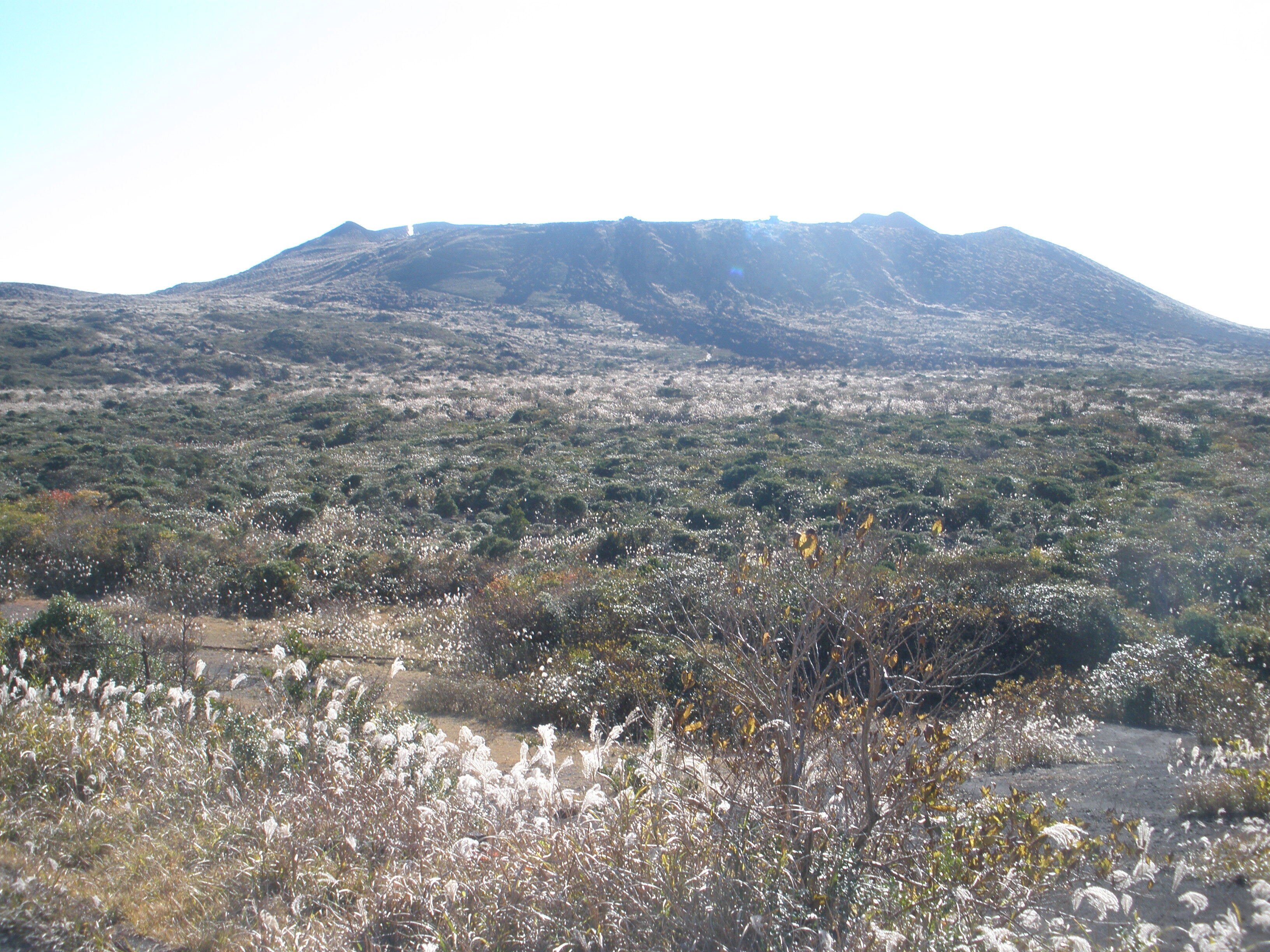 1986年伊豆大島・三原山噴火から39年｜ケンイチ