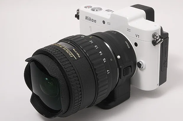 Nikon1v1｜魚眼レンズを試してみた｜夏と放し飼い