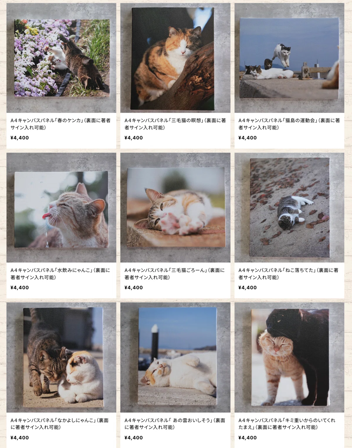 ショップあおいとり」を始めることになった件について書いてみる｜猫