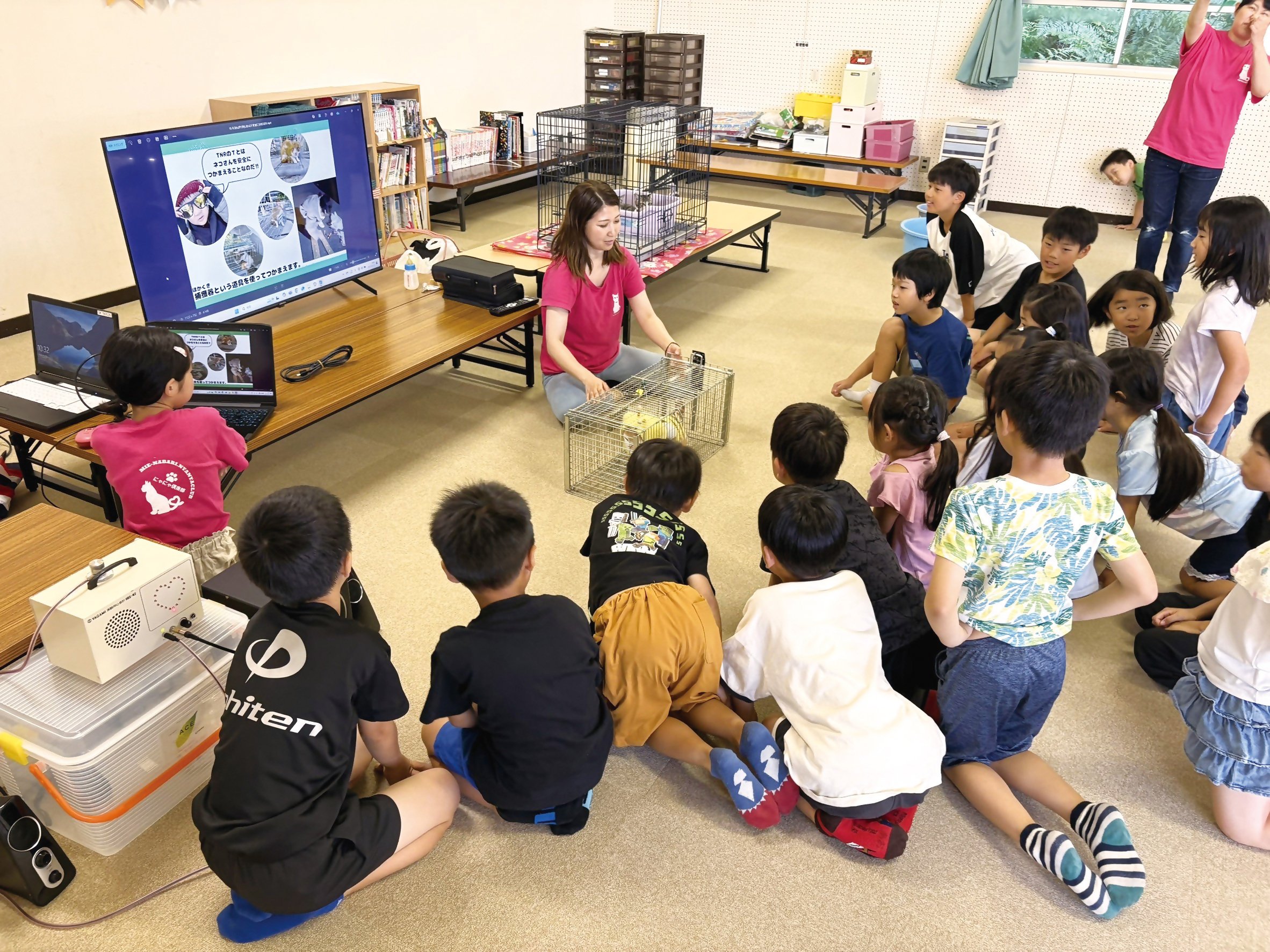 猫は動くぬいぐるみじゃない 人間と同じ大切な命なんです｜名張市公式note