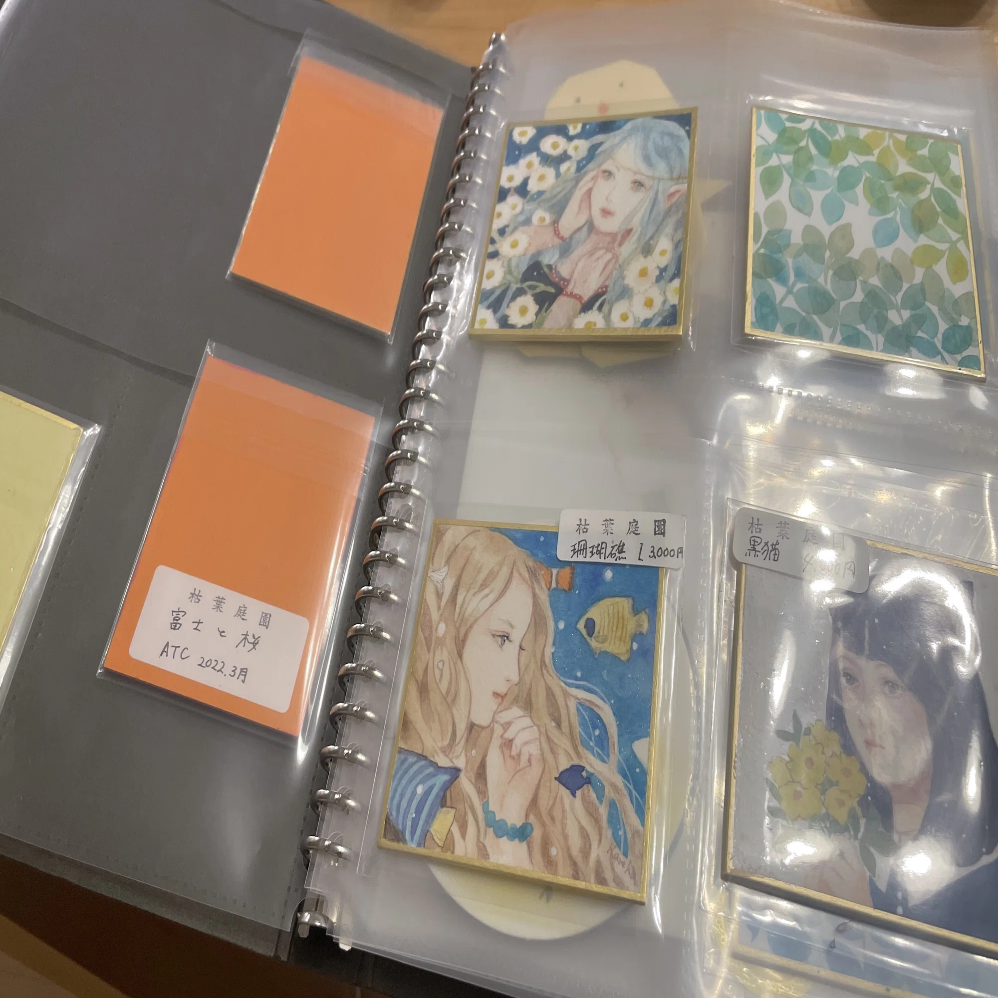 ミニ原画の販売 額あり額なしどっちがいいの？｜枯葉庭園