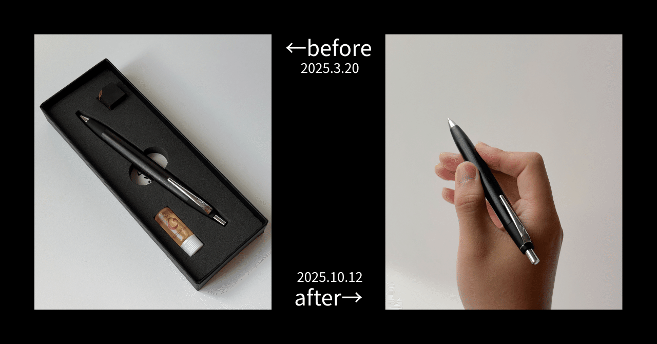 購入後6ヶ月レビュー】野原工芸 スタンダードBP銀金具グラナディラ｜Tola