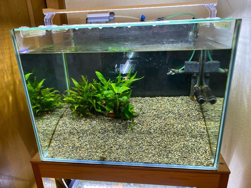 水槽リセット コトブキ レグラスフラットF-600Lの入れ替え撤去｜ハコ点