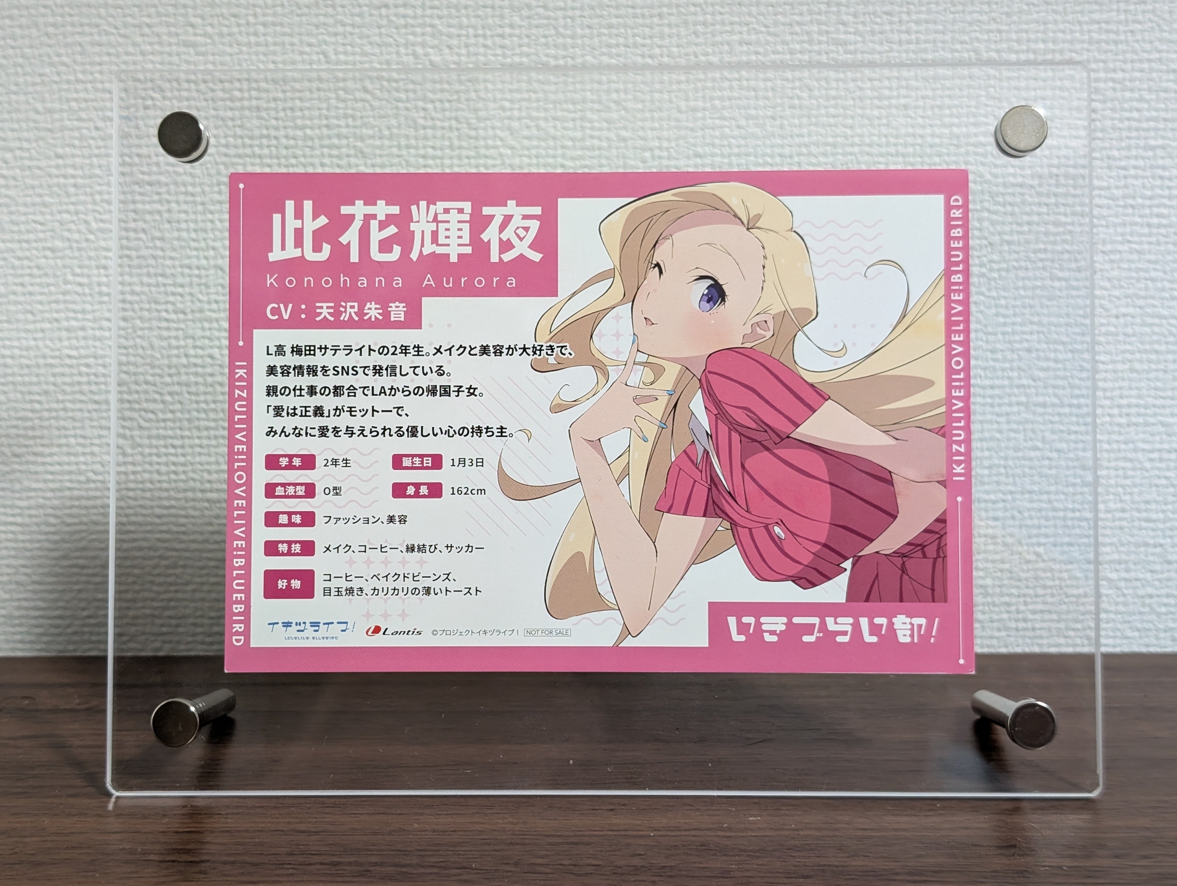 徒歩で】 歴10年のラブライブ！ファンが、初めてライブに行った｜asagao