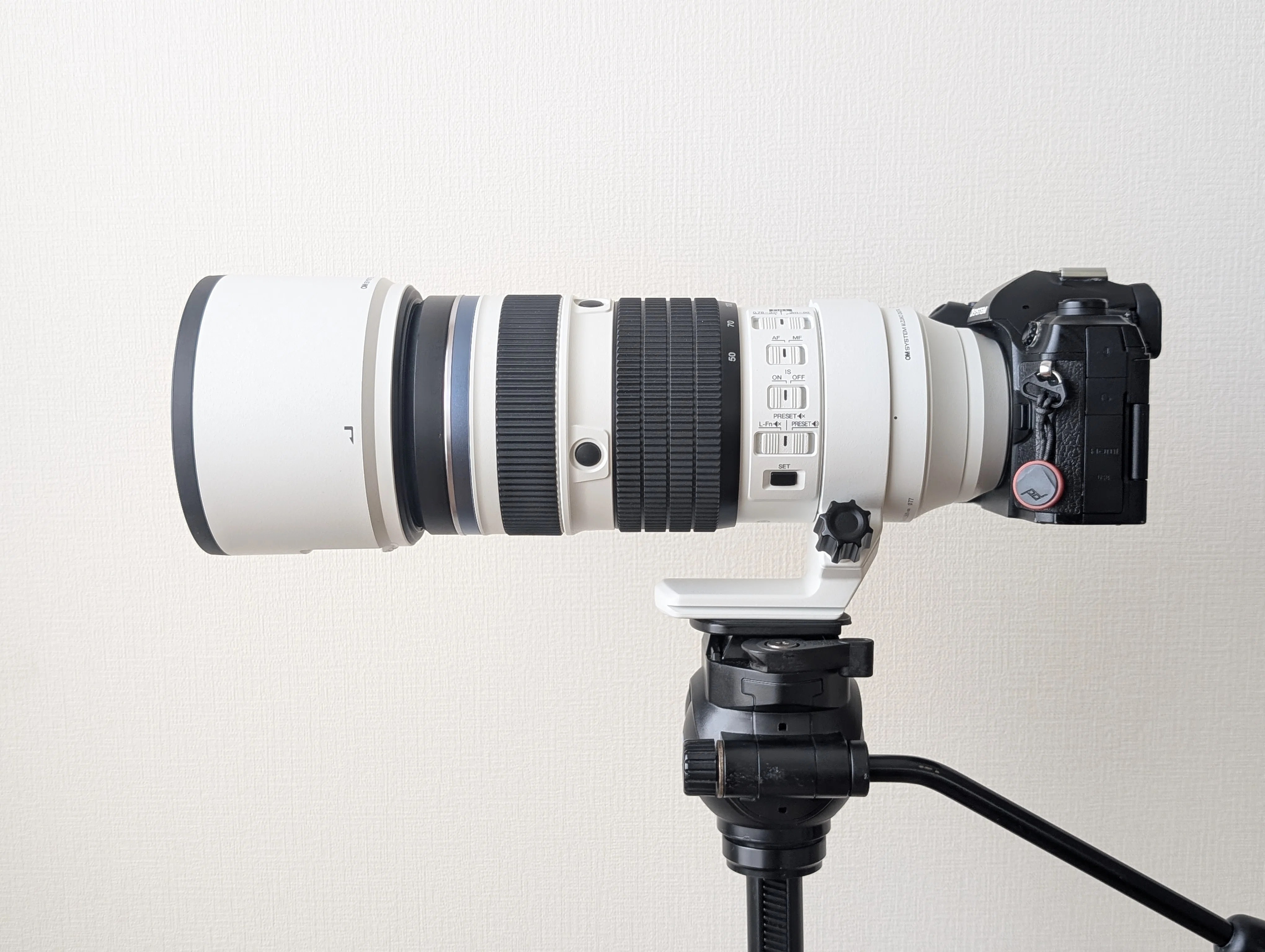 OM-1IIとOLYMPUS PEN Liteで撮るコスモス｜もみじ卍ゅう