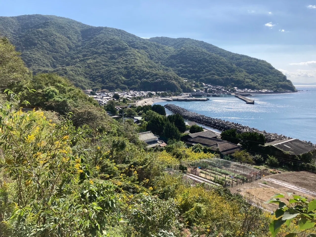 空と海と太陽と。瀬戸内の離島で眺める美しい景色～柳井市平郡島｜移住