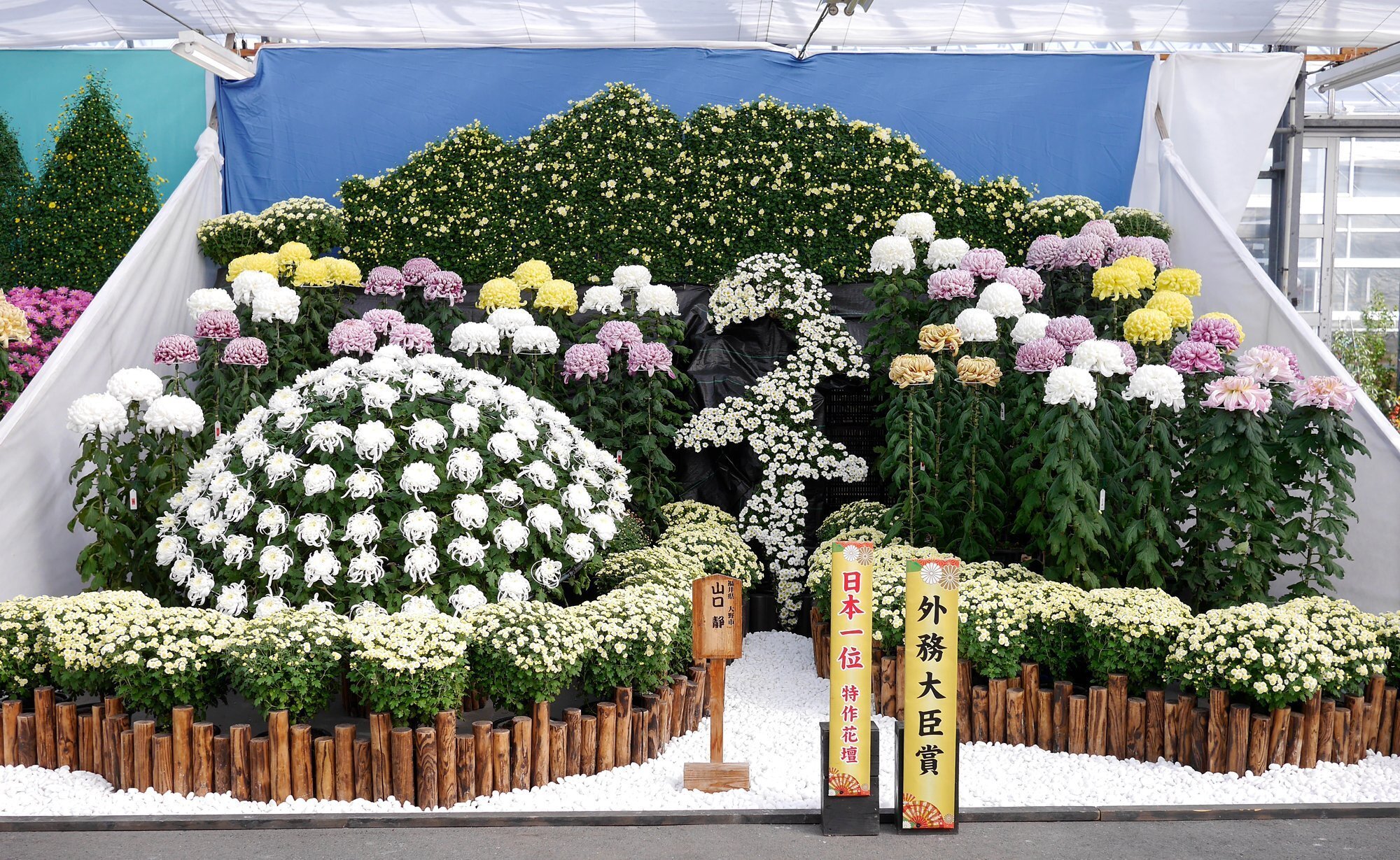 菊：11月のいぶきー日本のこころを映す花｜Hiragana Times 編集部