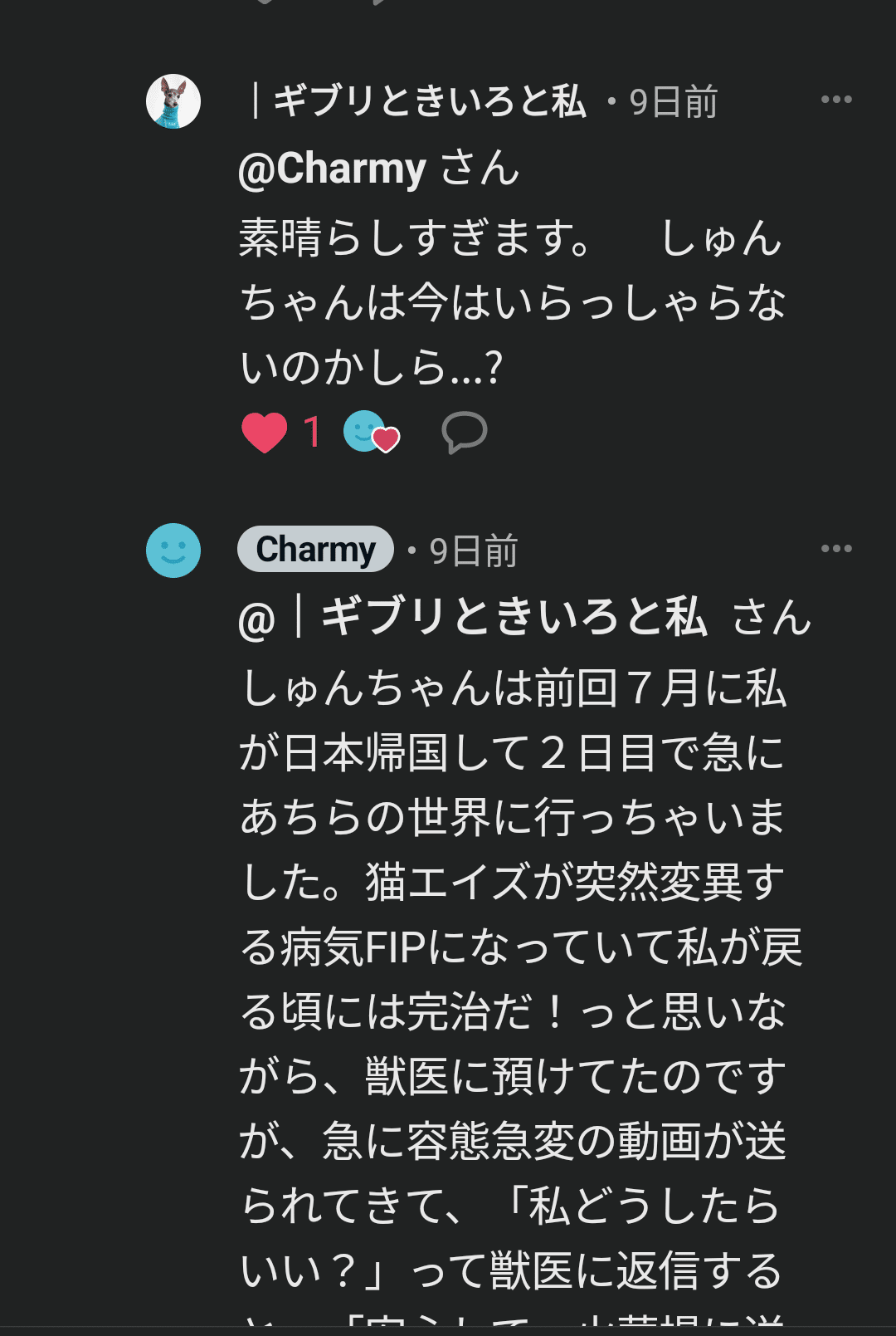 Dreamコメント欄 AC😾しゅんちゃん虹の橋をわたる・・、そして「あのコメント欄」を