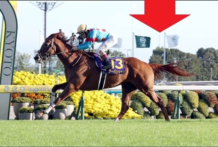 第56回菊花賞　優勝馬単勝馬券 菊花賞サイン馬券2025 Part3｜G1レースに直結する強力サインが2週連続