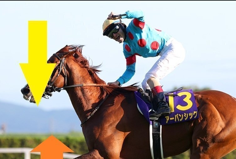 菊花賞サイン馬券2025 Part4｜画像に写っている建造物の名称に含まれる