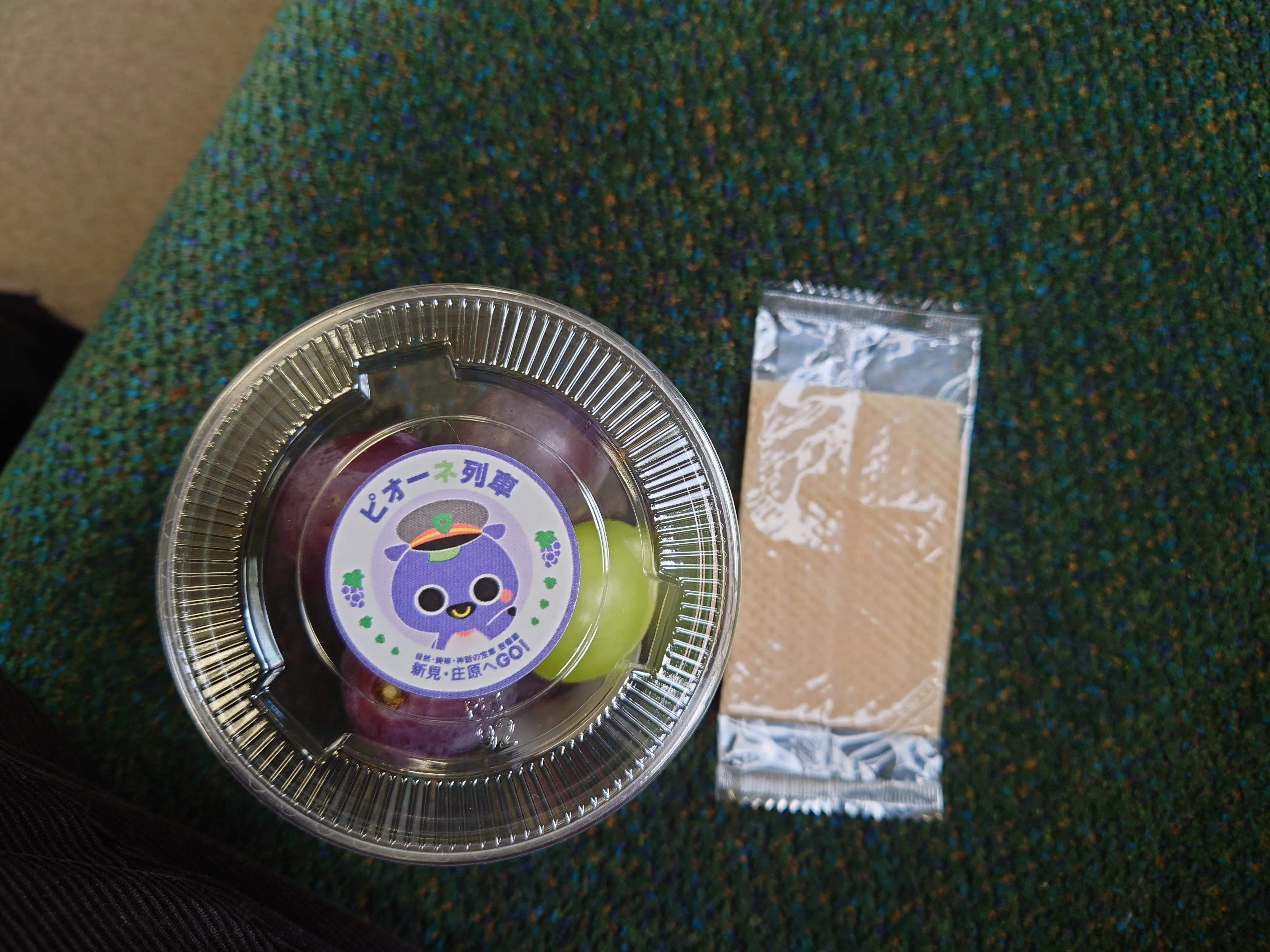 芸備線に乗ってきました（秋の乗り放題パス利用）③｜アラフィフ