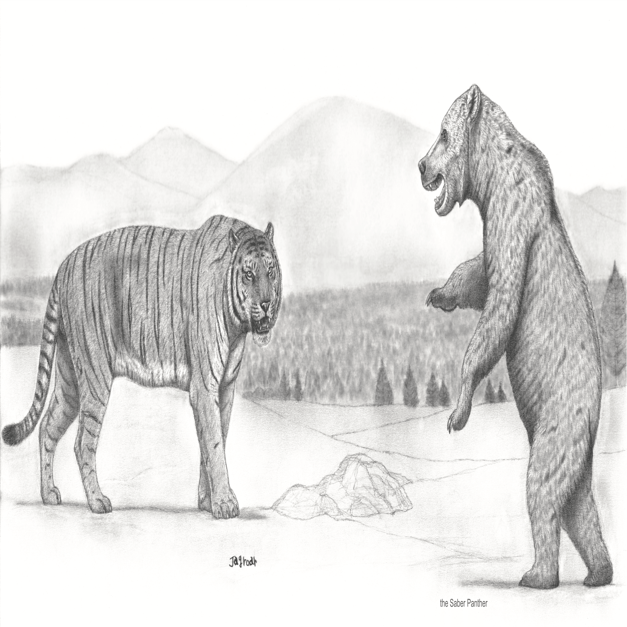 日本にいた大型のトラ❗〈Shiriyazaki Tiger〉： 🐯 尻屋崎トラ