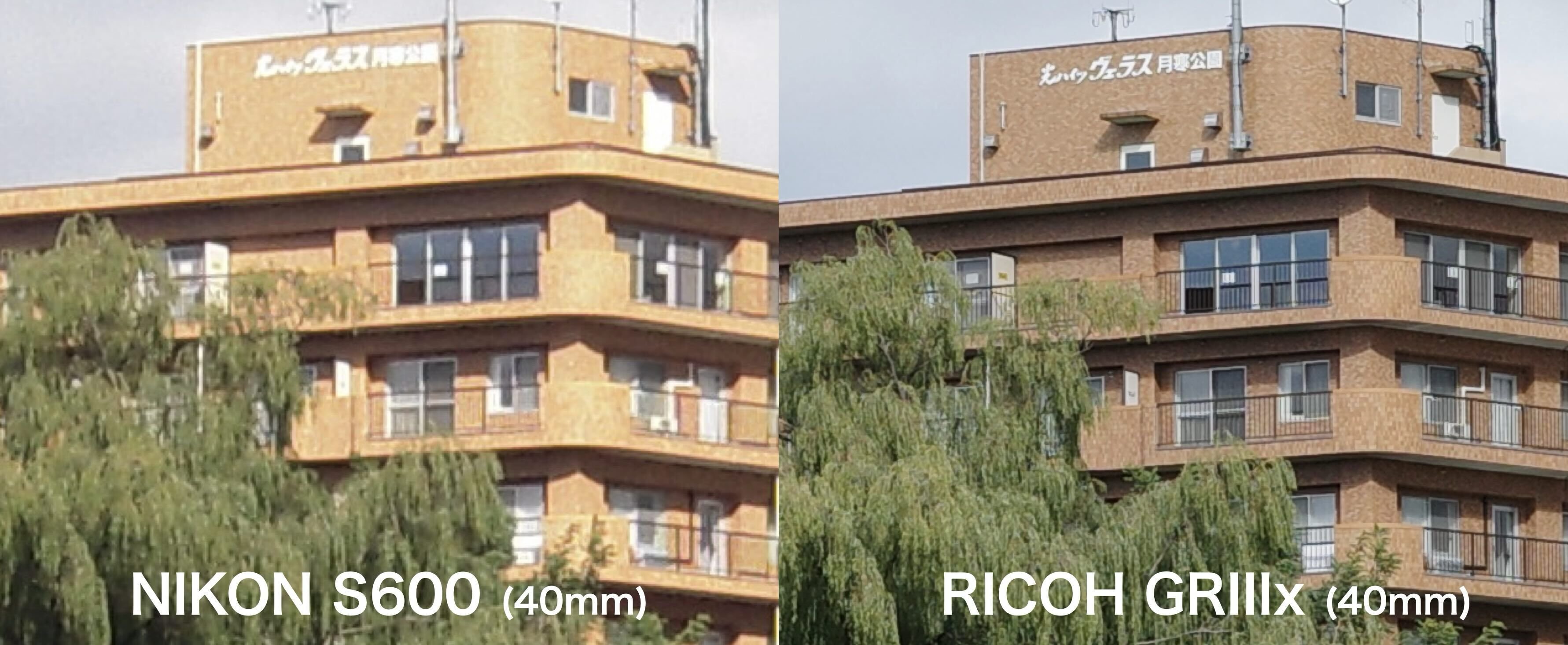 平成オールドコンデジ、Coolpixの実力｜絞り開放戦線