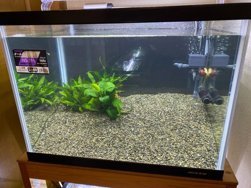 水槽リセット ニッソー NS-7Mの設置｜ハコ点のランマ