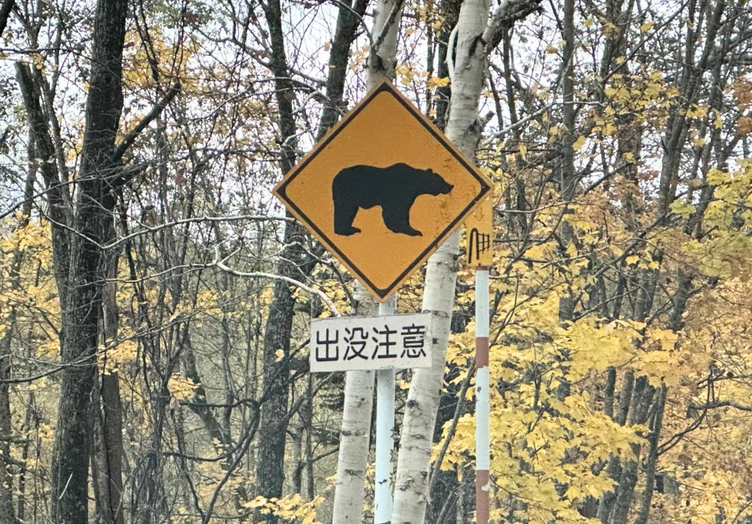 熊出没注意標識