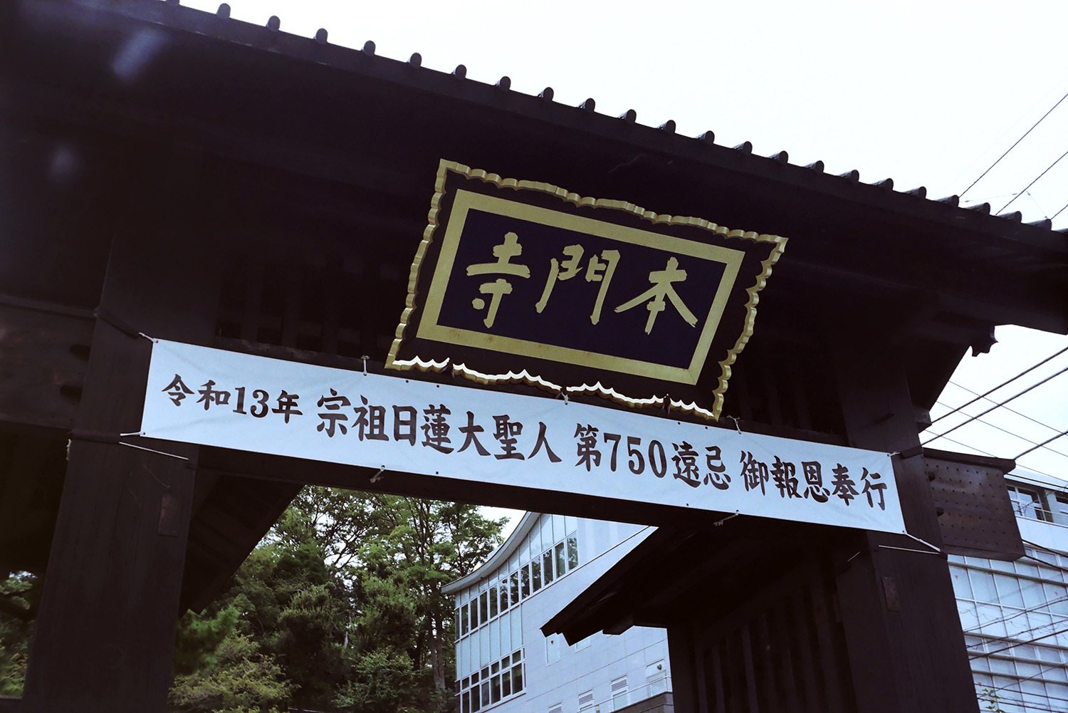 池上本門寺御会式翌日 by NIKON35Ti｜関幸貴