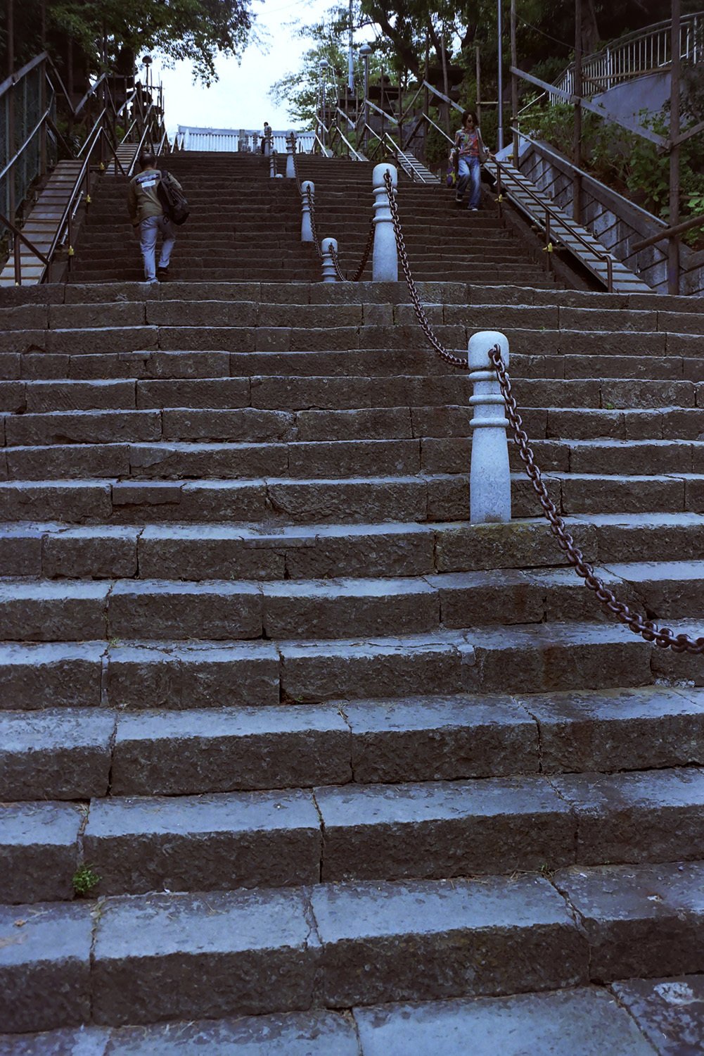 池上本門寺御会式翌日 by NIKON35Ti｜関幸貴
