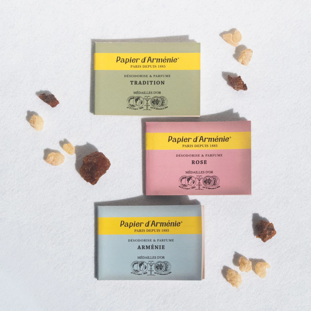 パピエダルメニイのご紹介｜フレグランスプラント Fragrance Plant