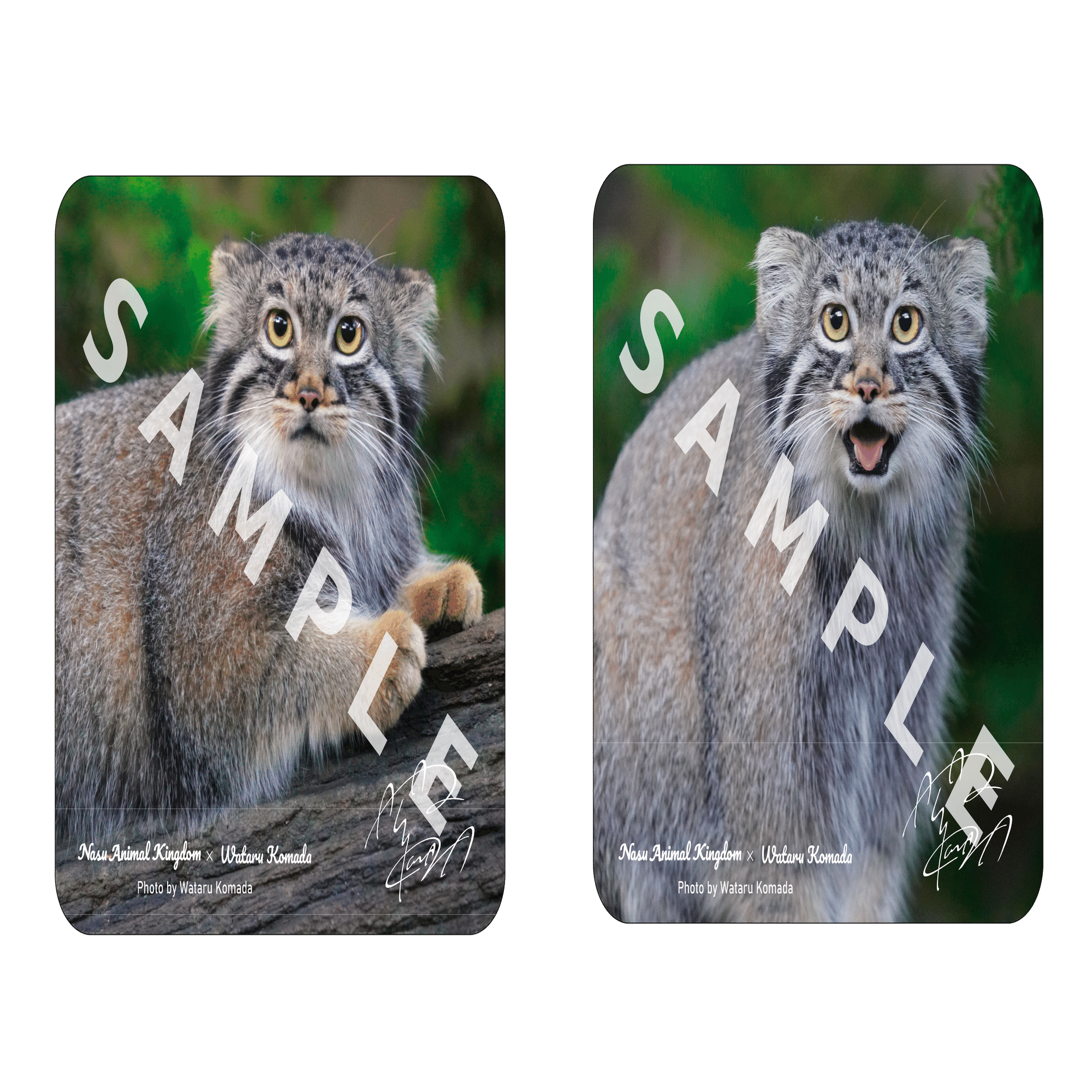 来国イベント】人気声優 駒田航が1日限定で国王に！？｜那須どうぶつ