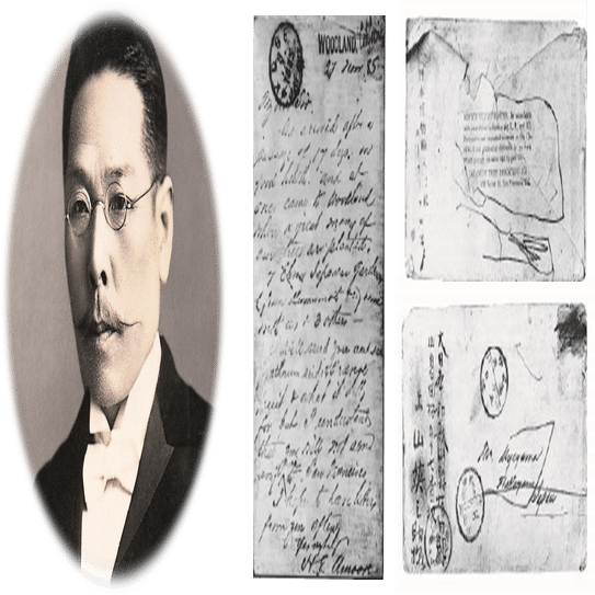 蚊取り線香とミカン ~紀州のミカン畑から生まれた、金鳥の渦巻｜KINCHO