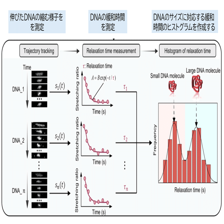 DNA解析の新手法？ナノスリット流路ってどんなもの？｜名古屋大学学術研究・産学官連携推進本部