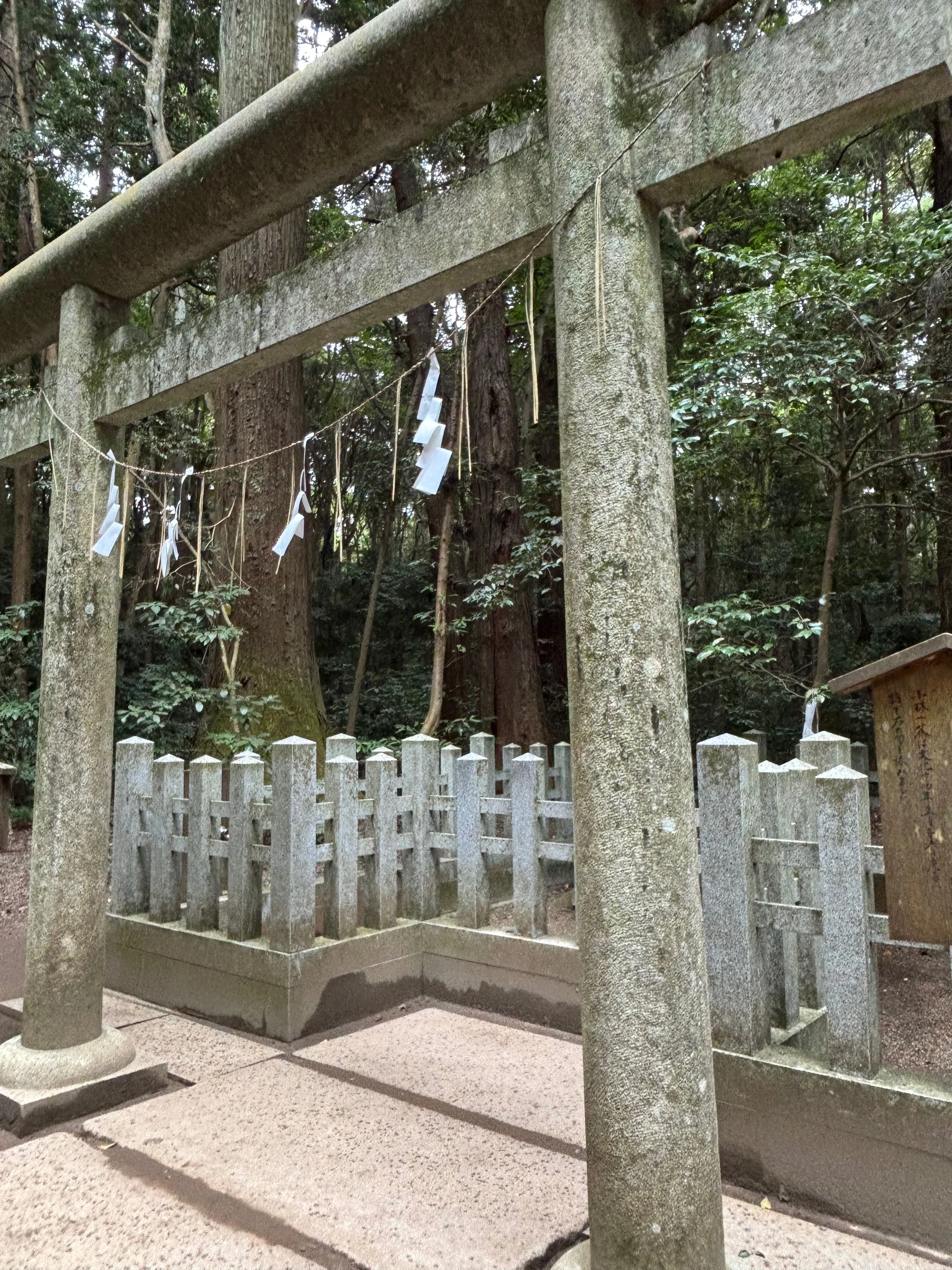 はとバス三社巡り、鳥栖神社から香島神宮へ｜yumiパンダ
